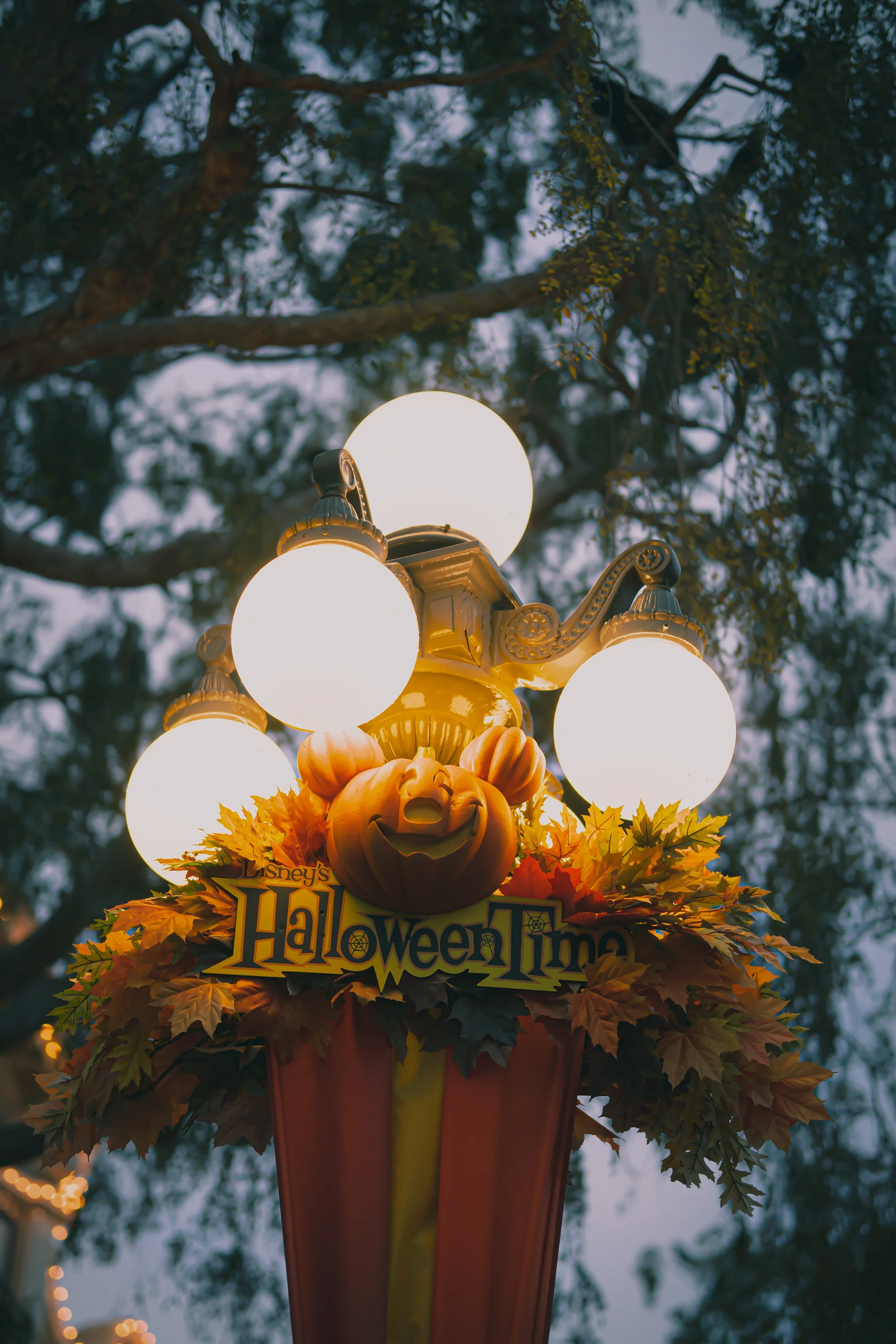 Disneyland 10:15_05527.JPG