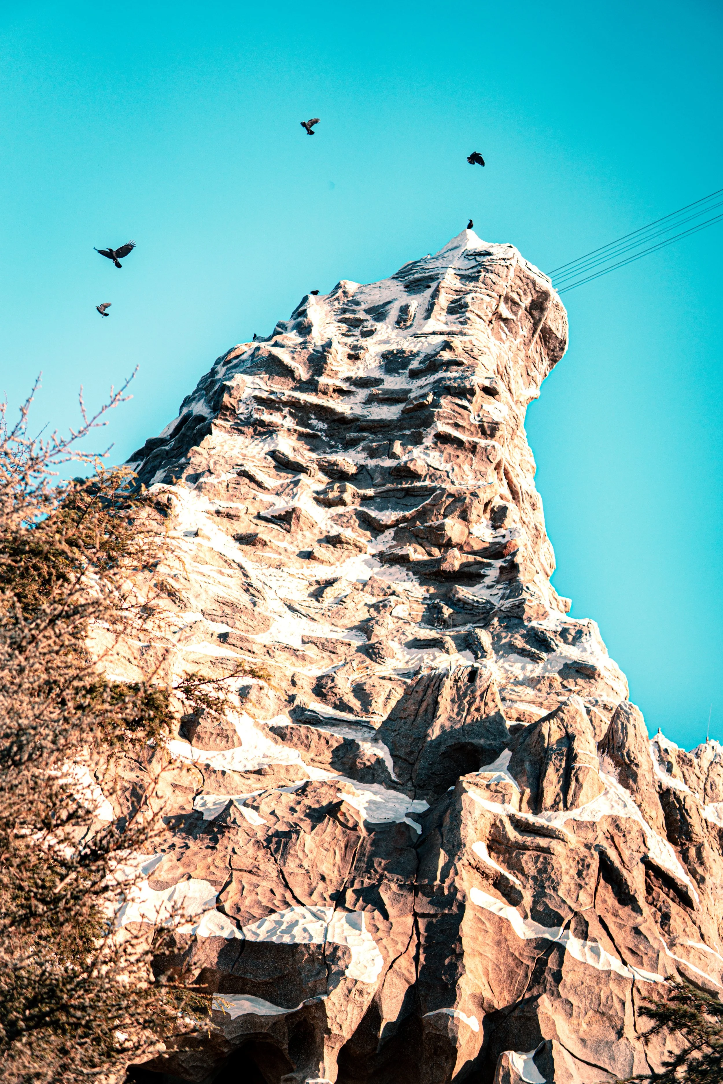 Disneyland 10:1808198.JPG