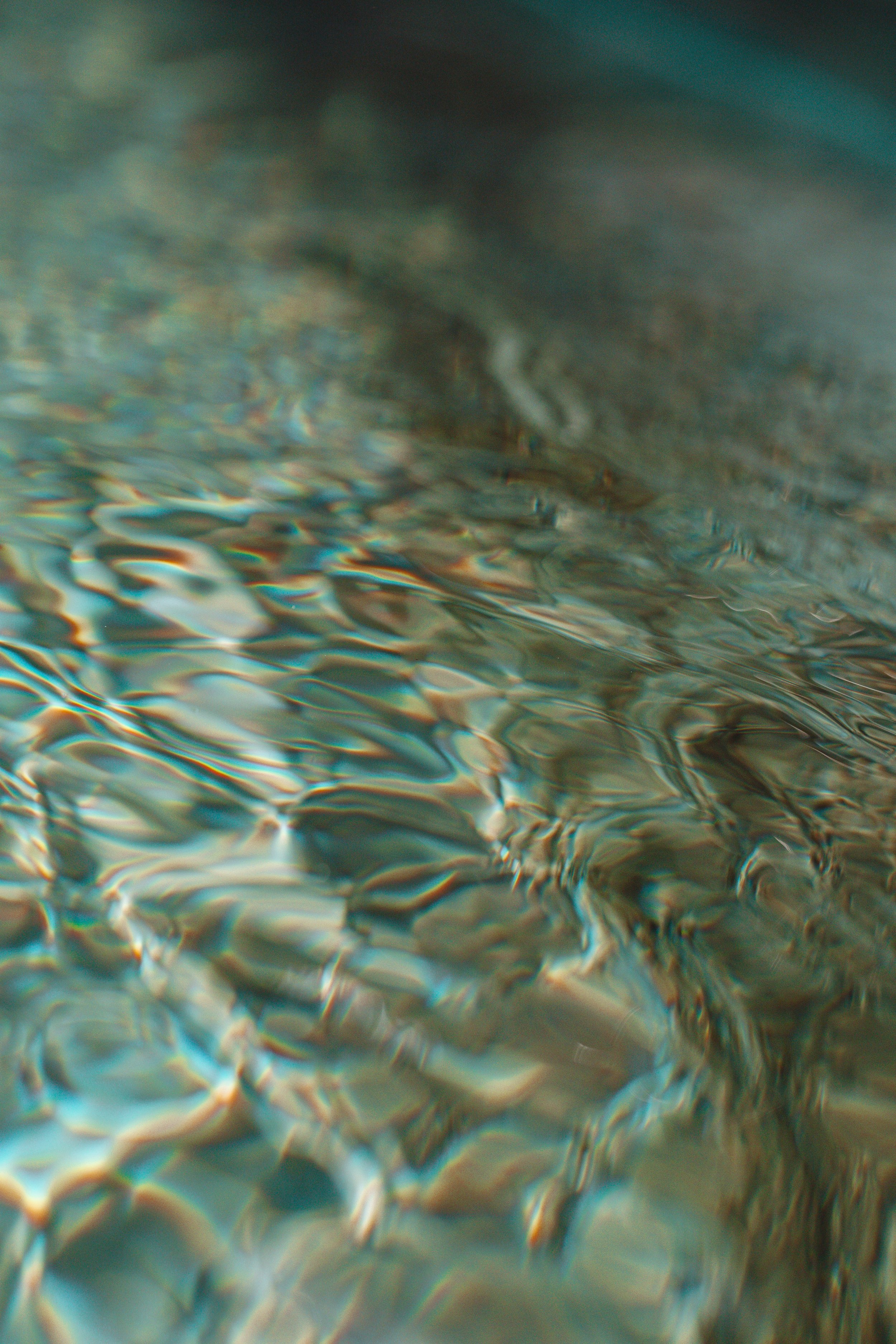 Disneyland 10:21_09896.JPG