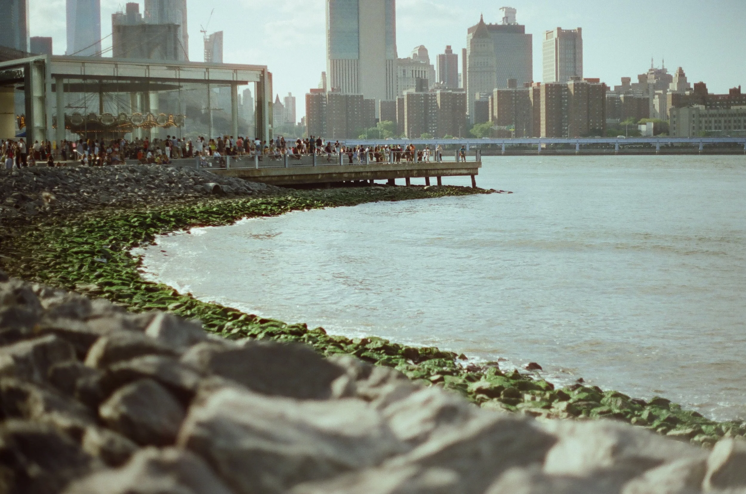 20230823-2023.08.19- CineStill 400D_Photowalk_00046.jpg