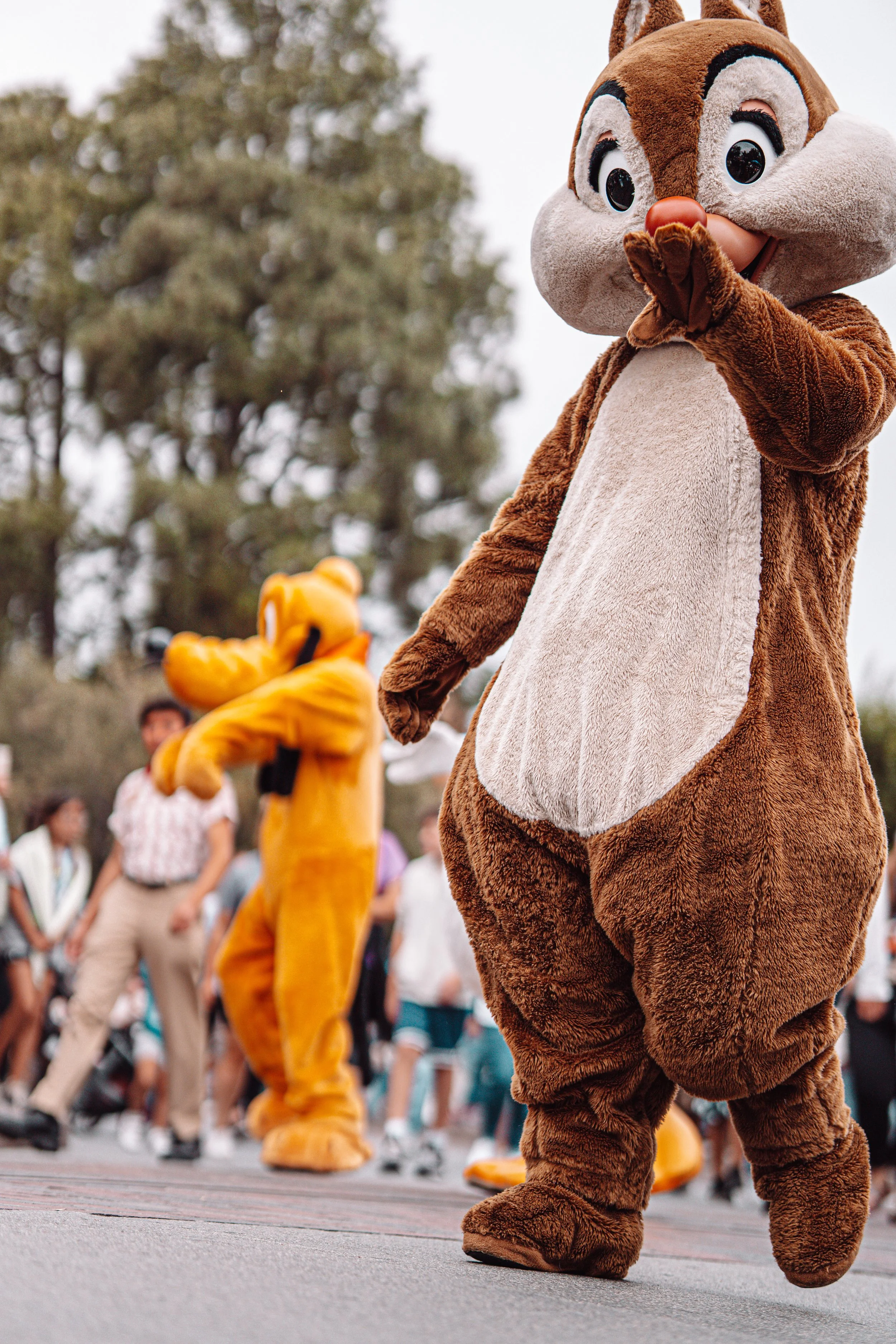 Disneyland 10:15_04962.JPG