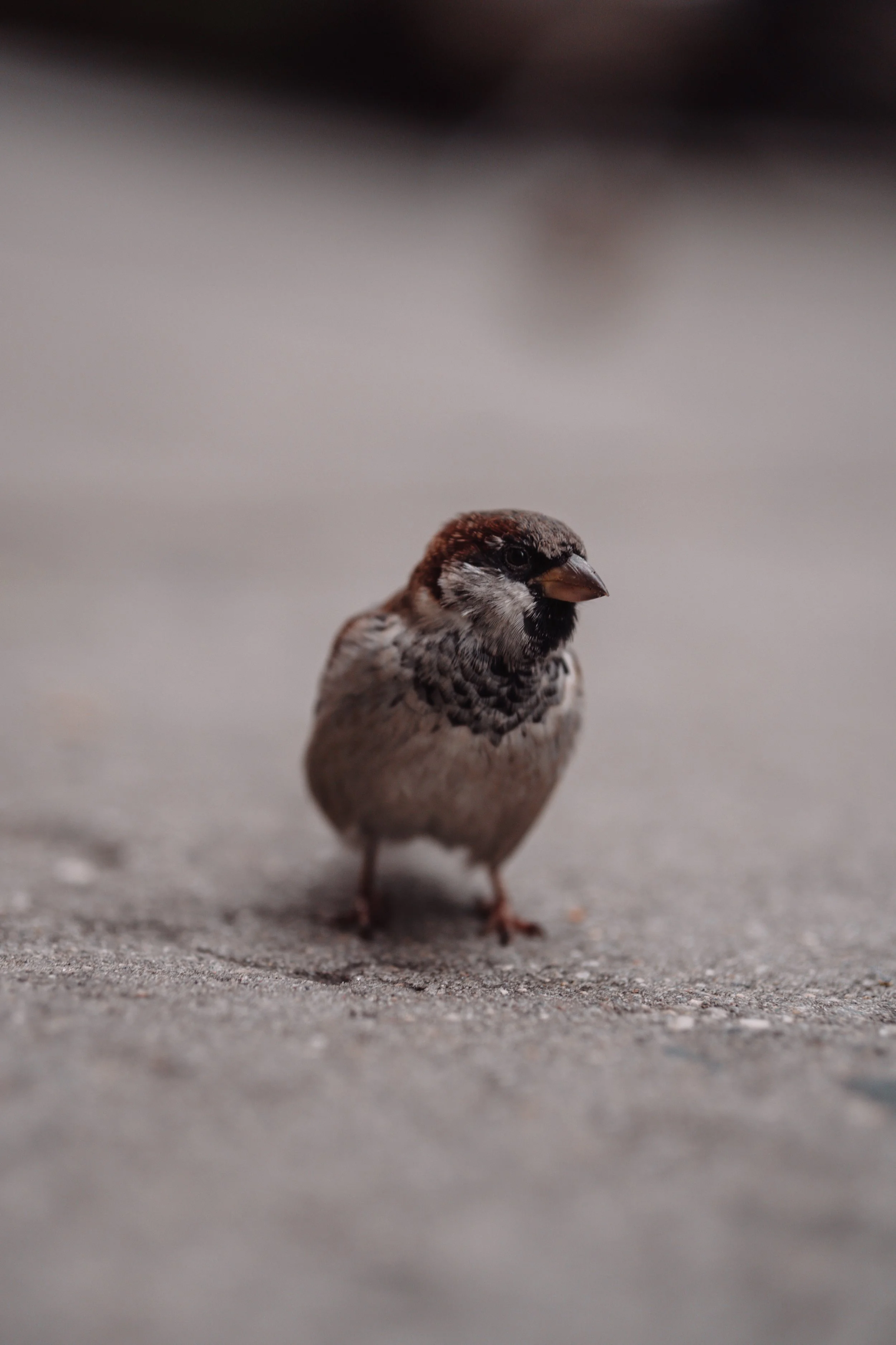 365 Day Challenge_01354 2.JPG