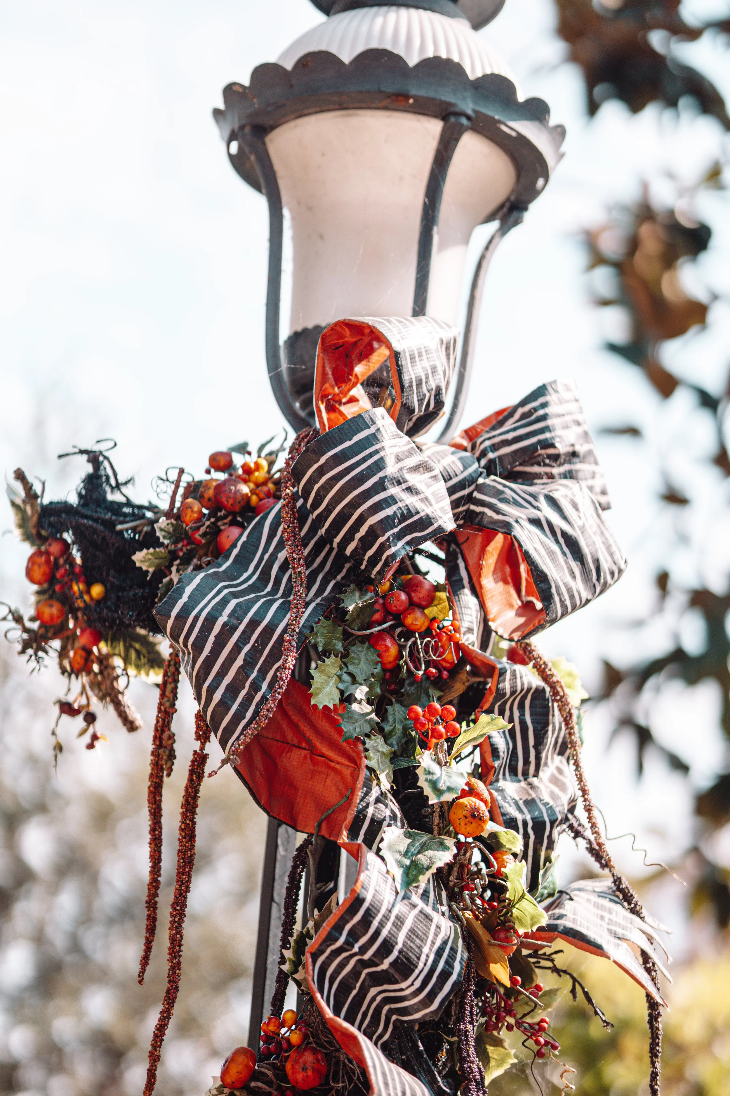 Disneyland 10:21_09913.JPG