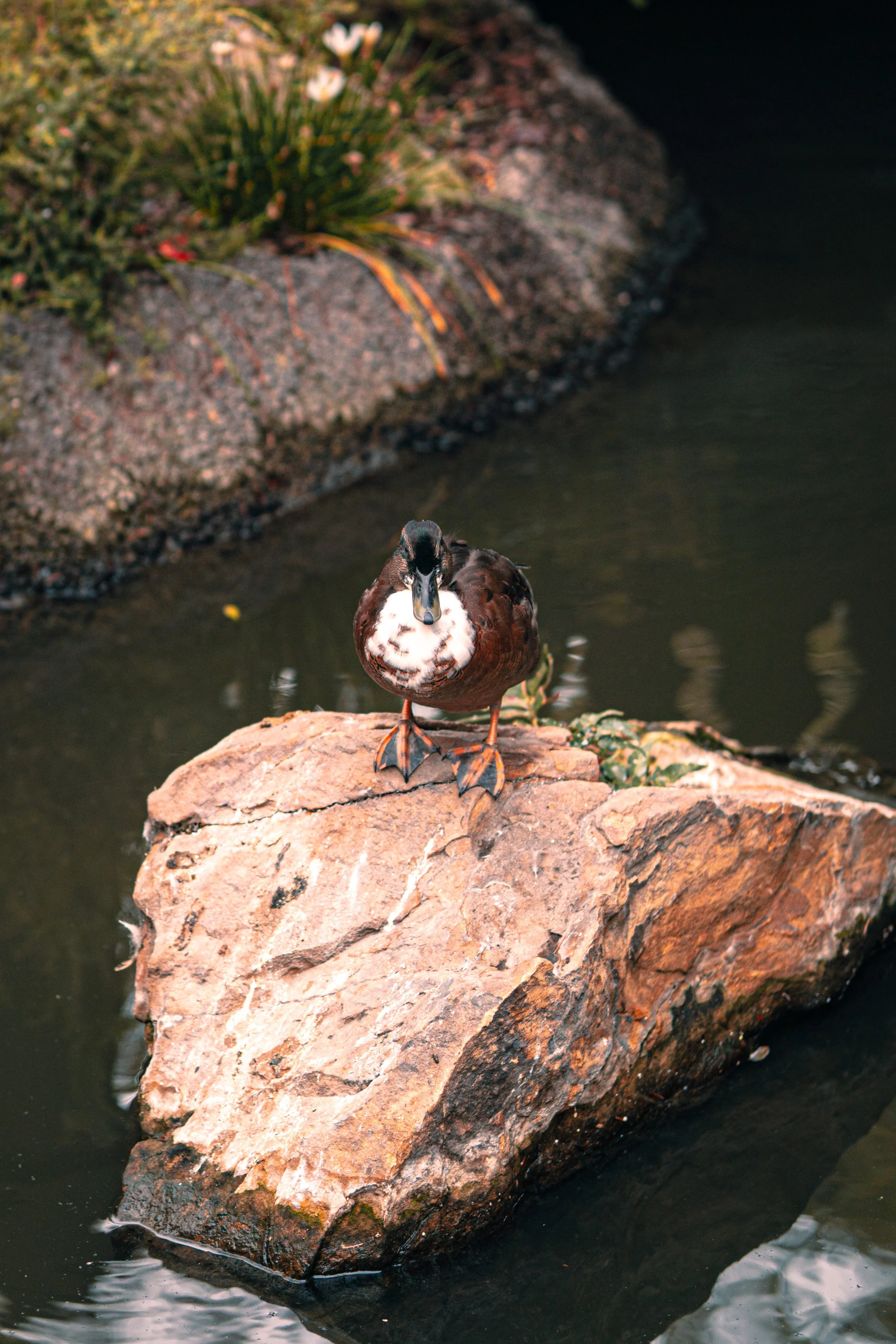 Disneyland 10:15_05049.JPG