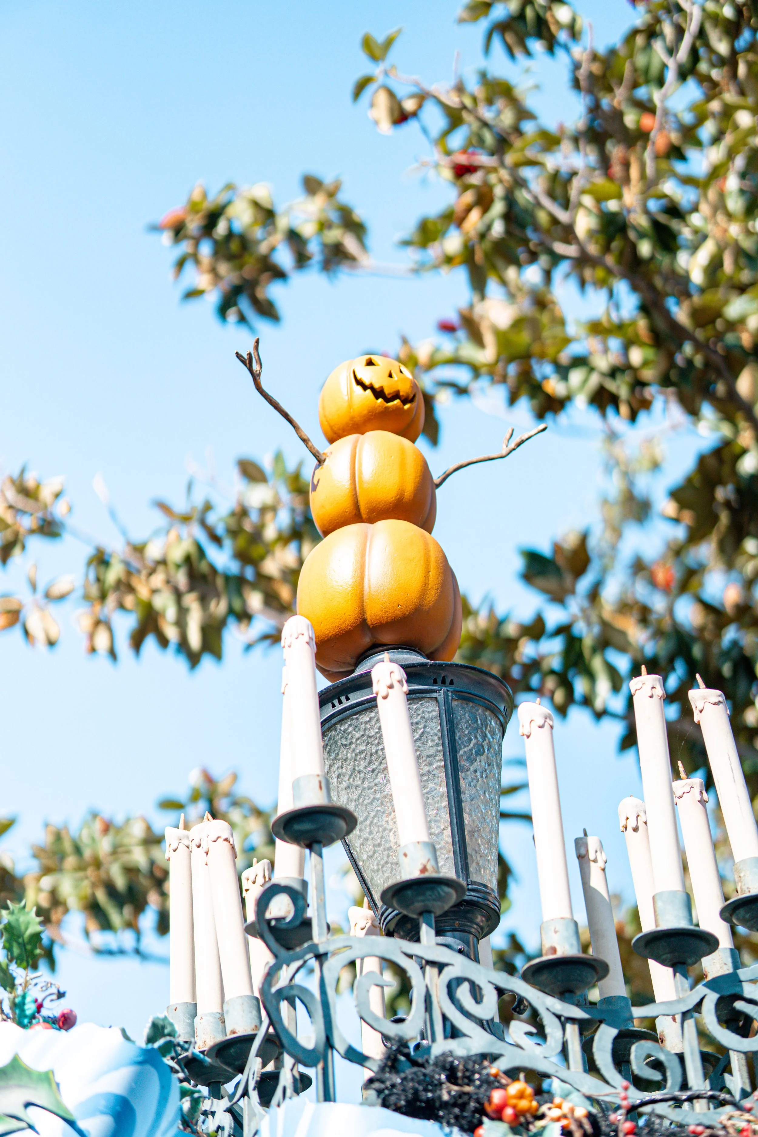 Disneyland 10:21_09908.JPG