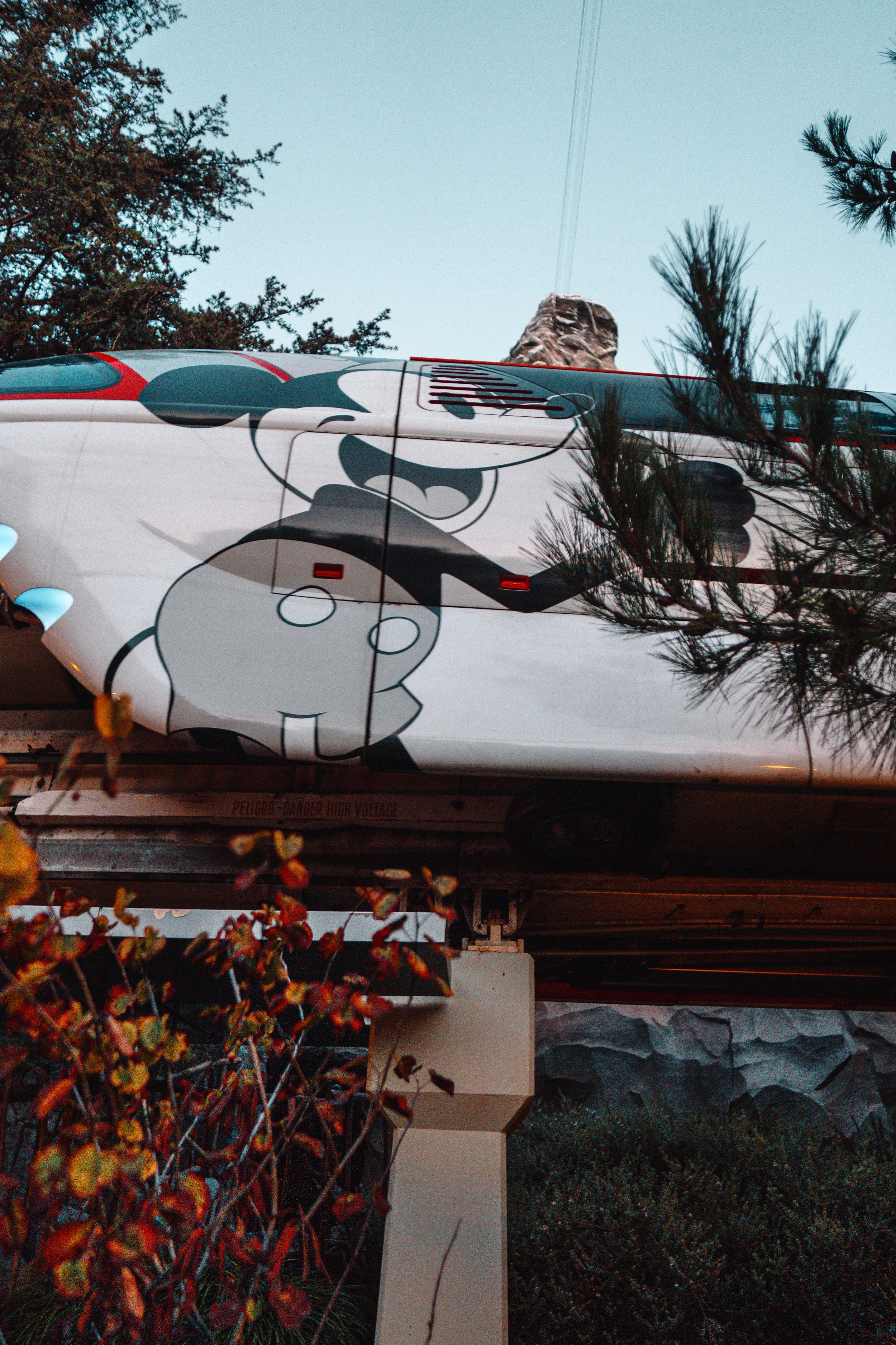 Disneyland 10:21_00633.JPG