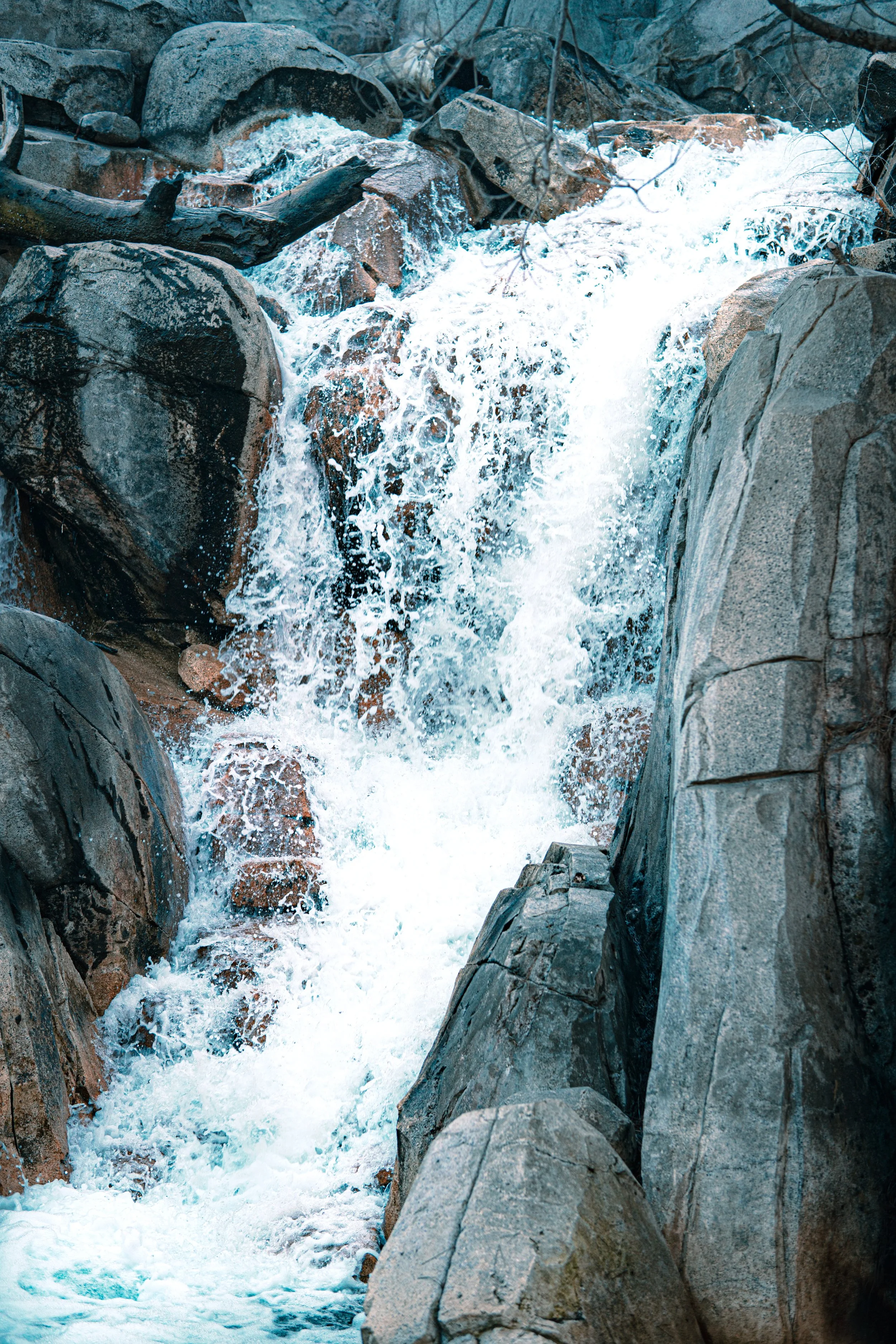 Disneyland 10:1707488.JPG