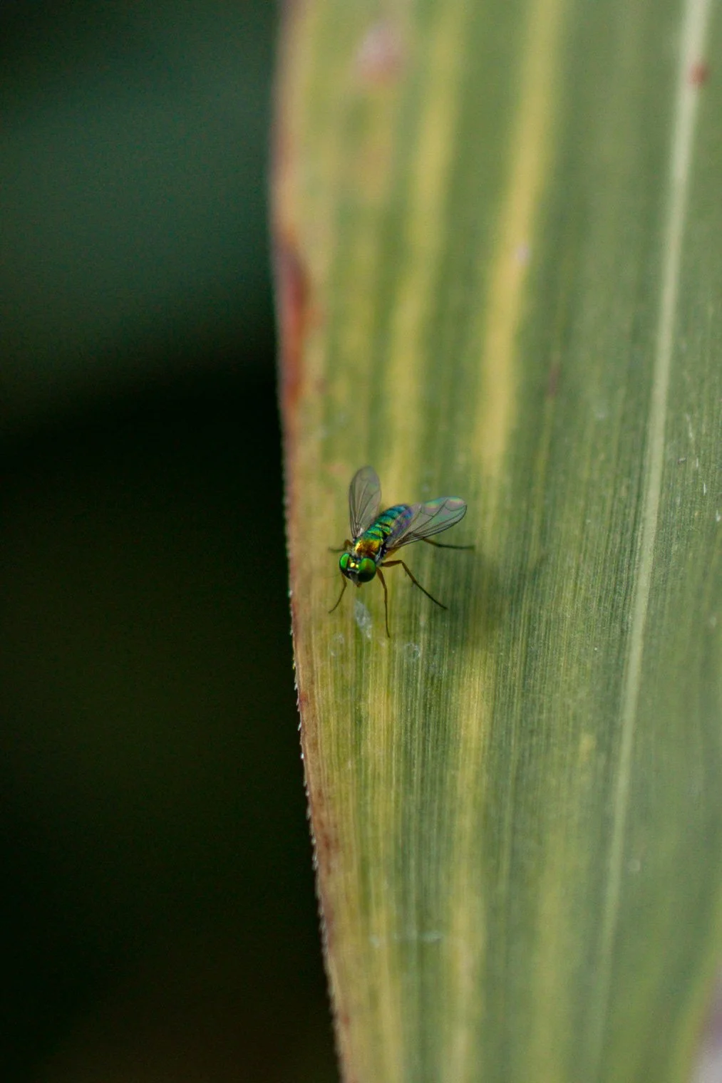 365 Day Challenge_00576.JPG