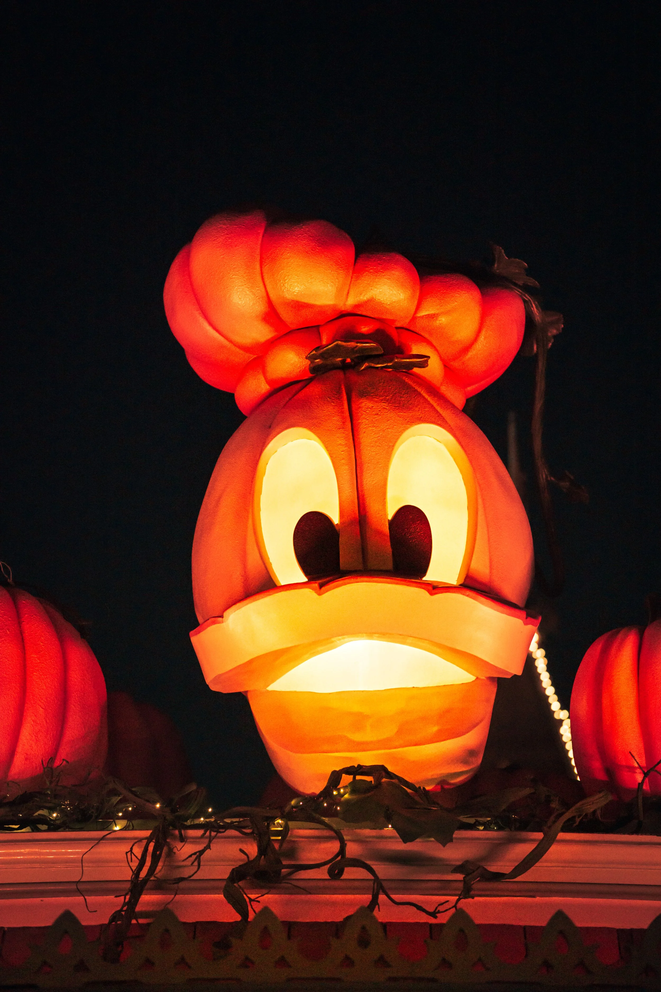 Disneyland 10:1707893.JPG