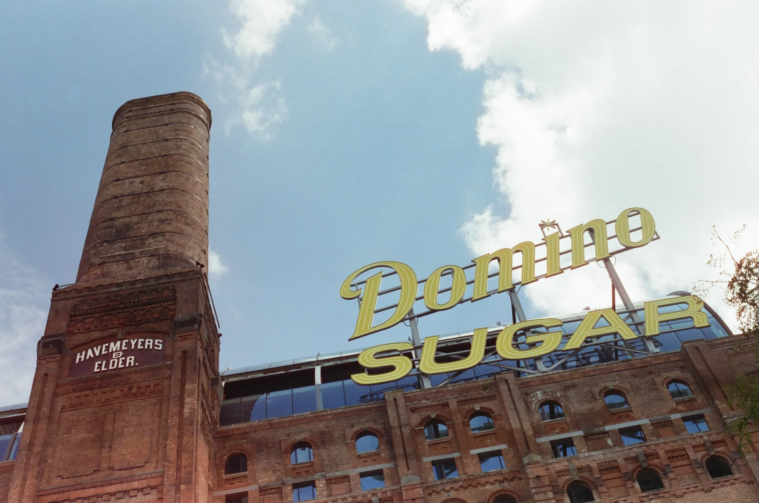 20230823-2023.08.19- CineStill 400D_Photowalk_00005.jpg