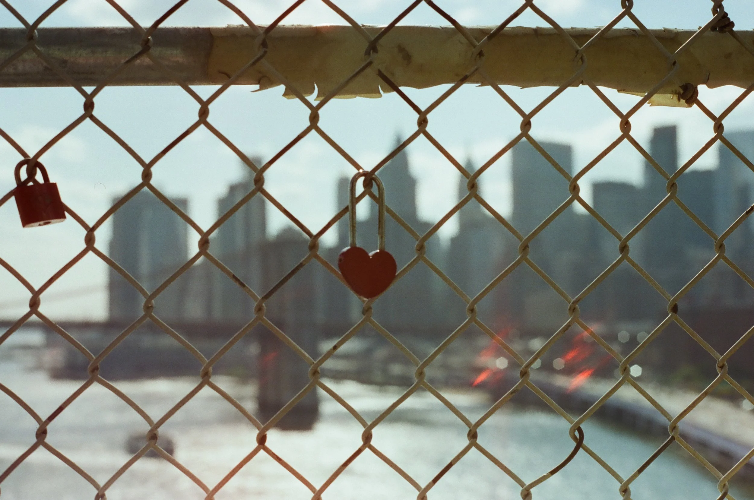 20230823-2023.08.19- CineStill 400D_Photowalk_00037.jpg