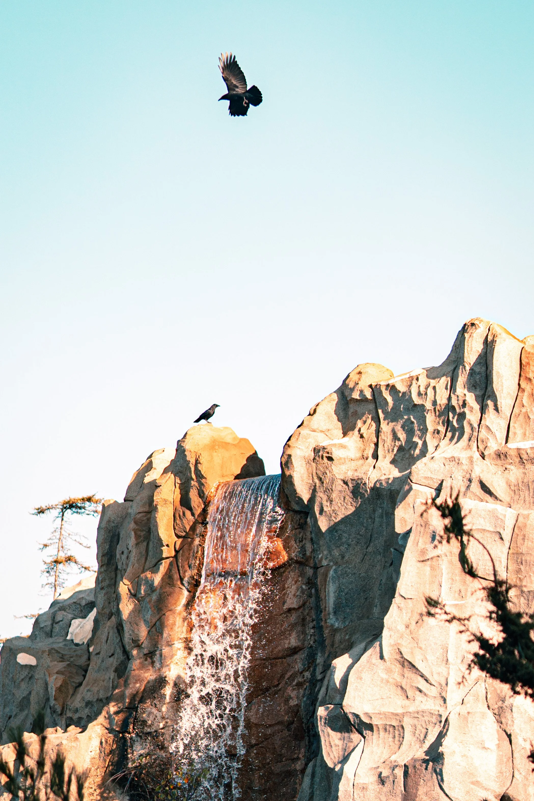 Disneyland 10:1808165.JPG