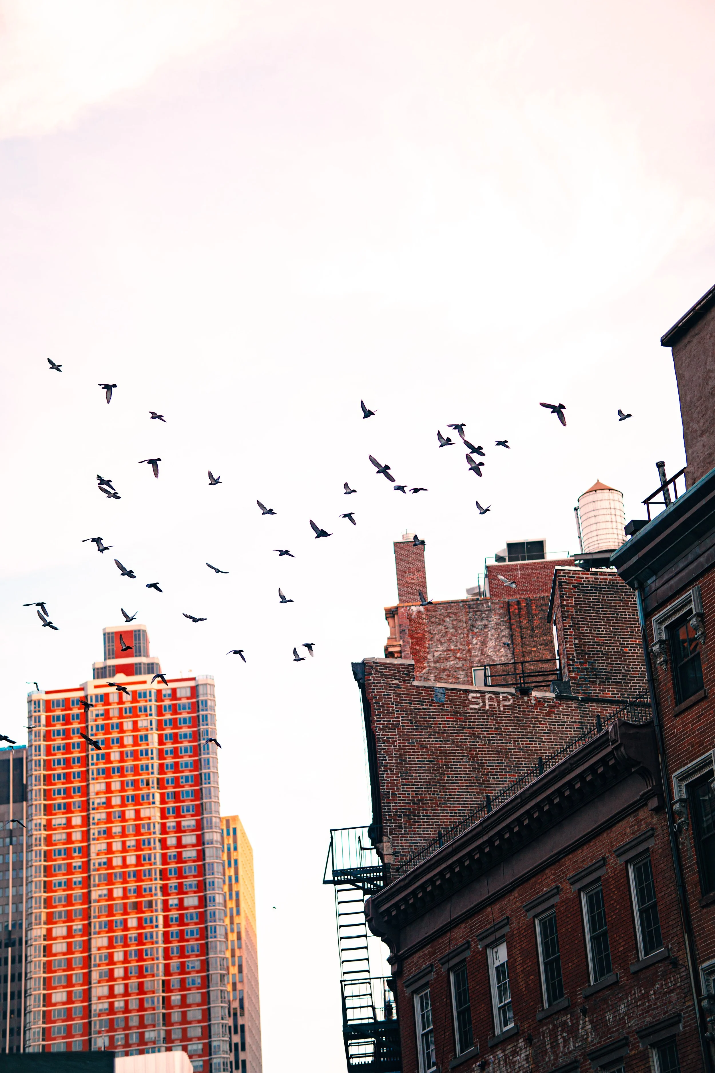 365 Day Challenge_01317 2.JPG