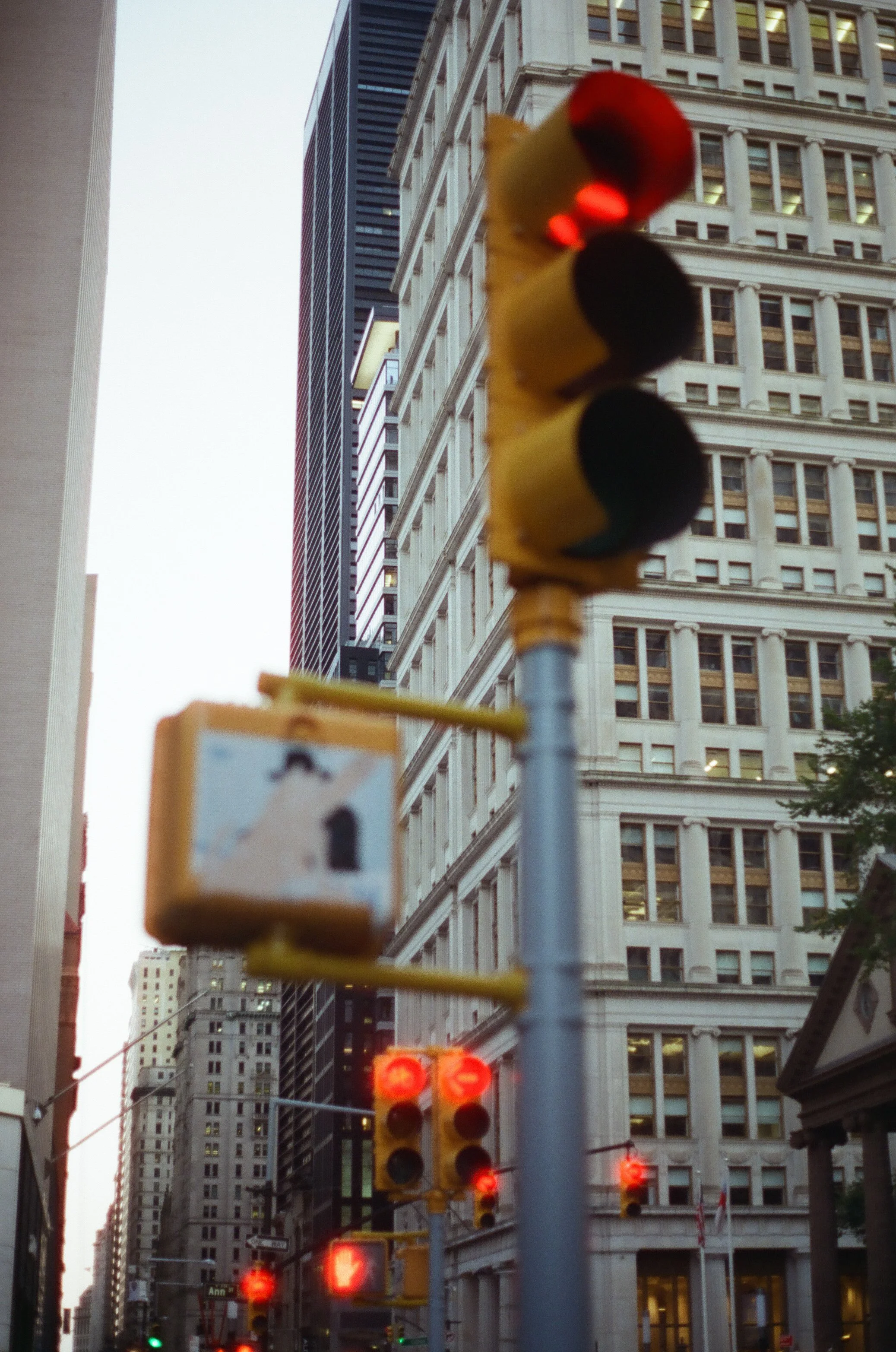 20230823-2023.08.19- CineStill 400D_Photowalk_00091.jpg