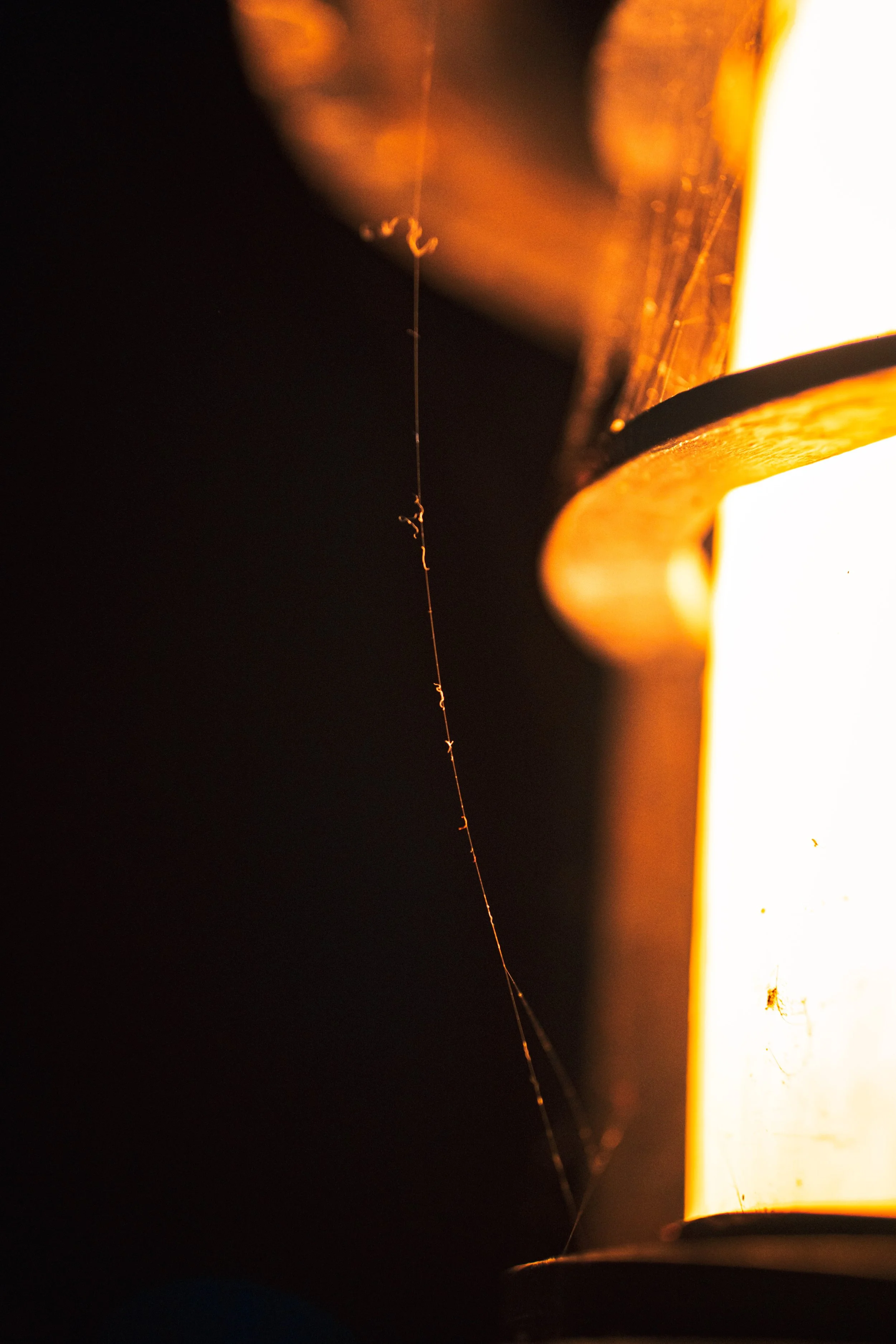 Disneyland 10:16_Oogie Boogie_06892.JPG