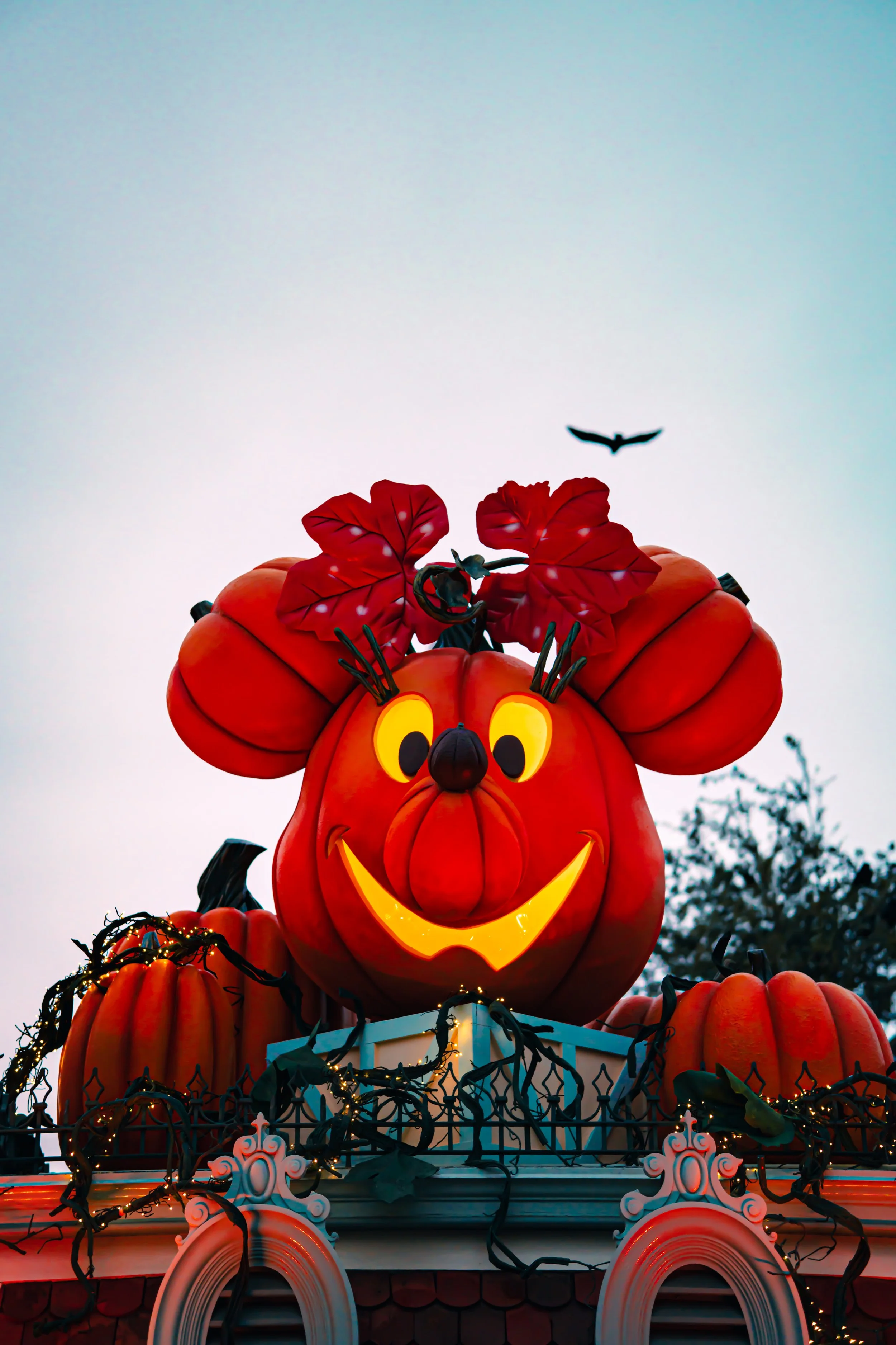 Disneyland 10:15_05511.JPG