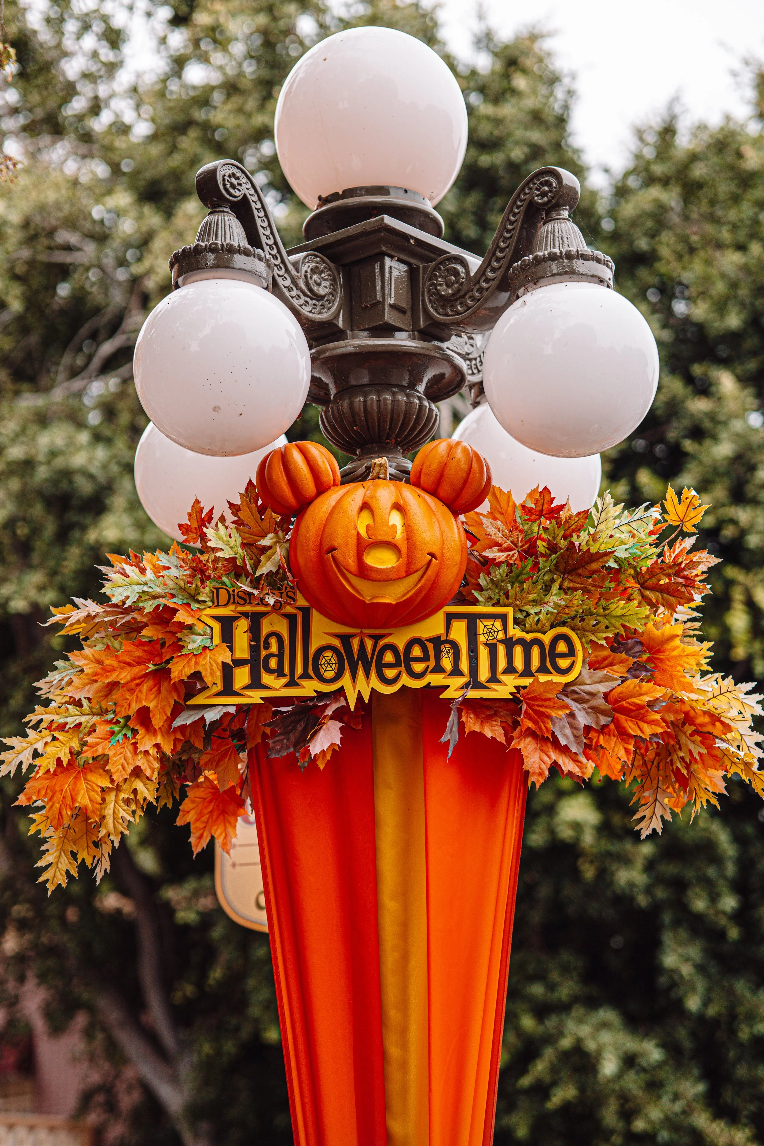 Disneyland 10:15_04778.JPG