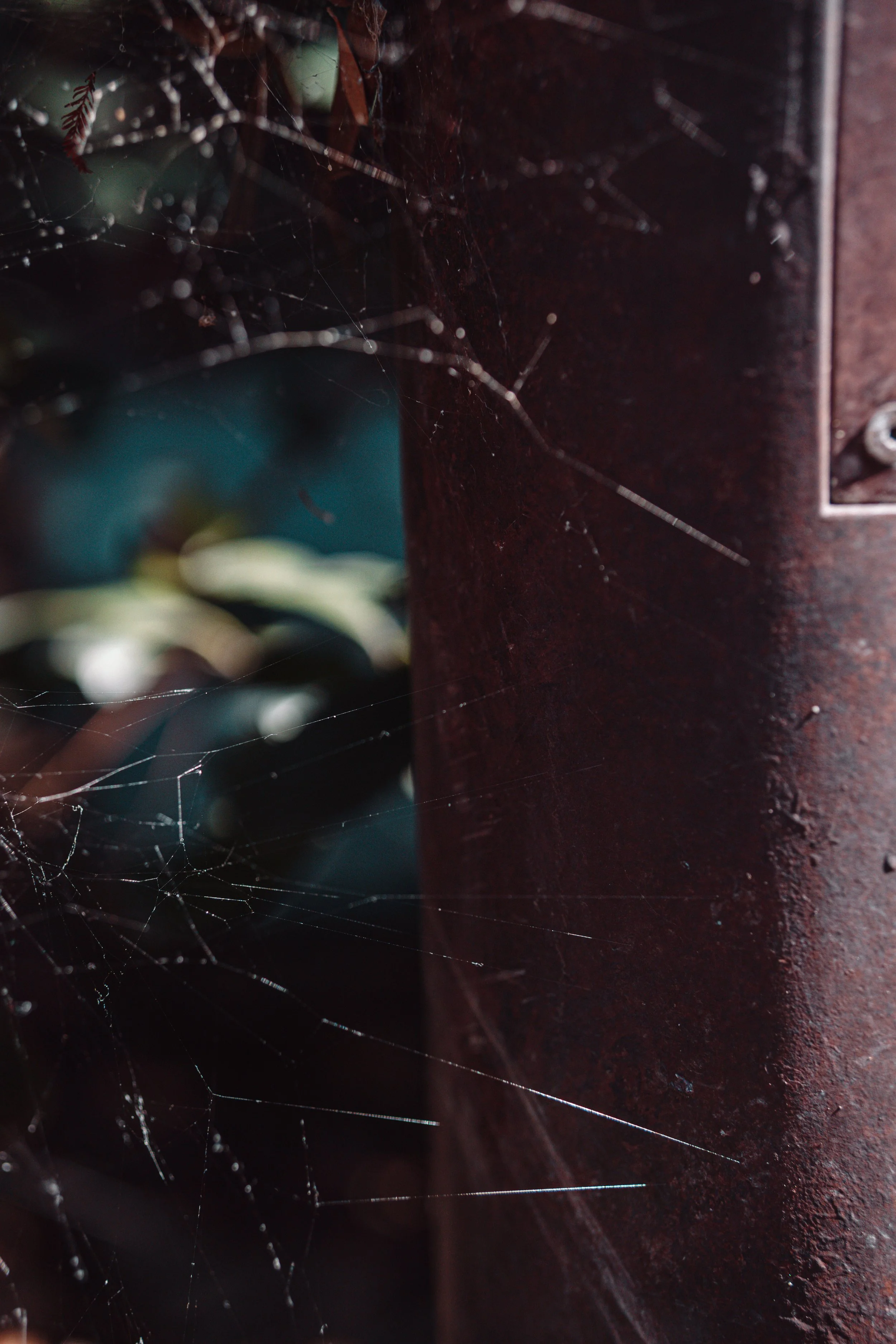 Disneyland 10:21_00195.JPG