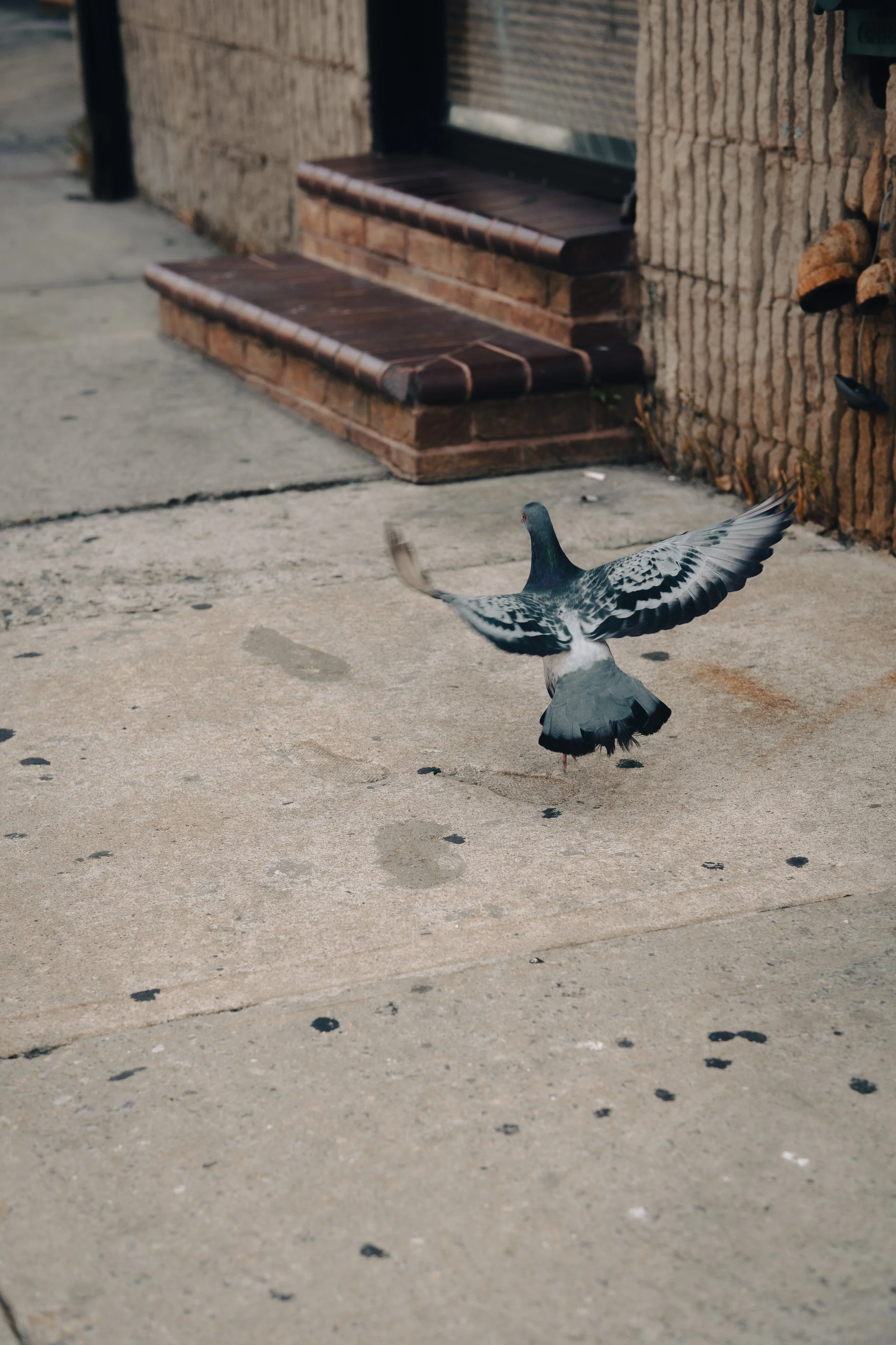 365 Day Challenge_02829.JPG