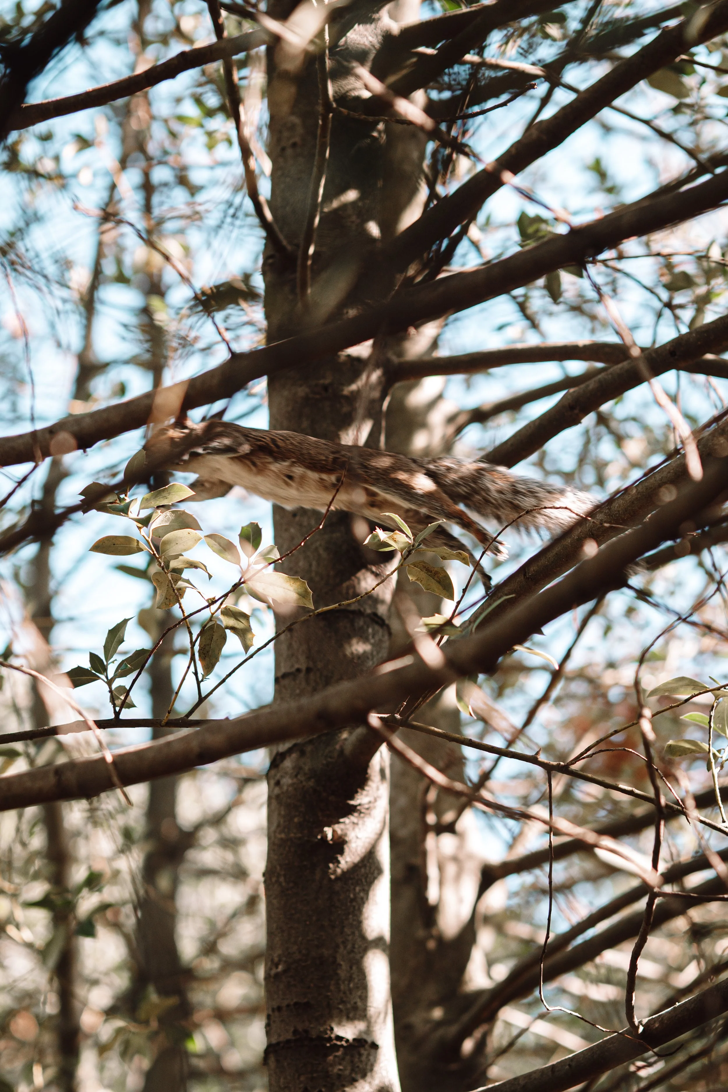 365 Day Challenge_00942 2.JPG