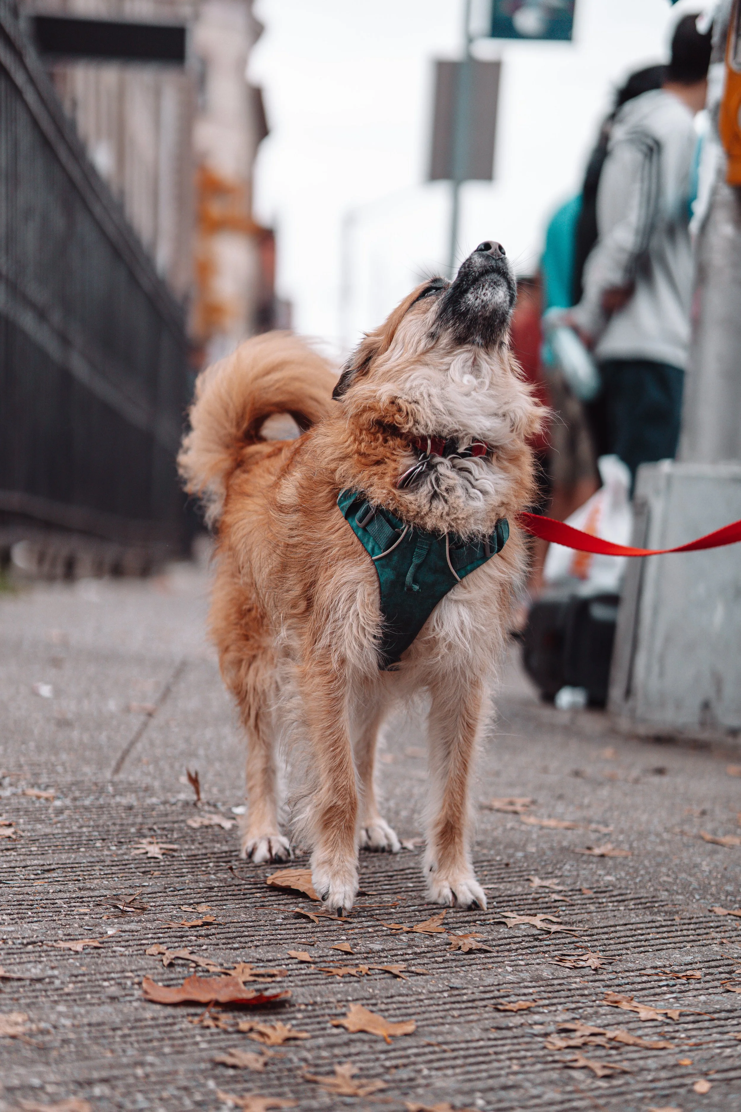 NYC Marathon 2022_02101.JPG