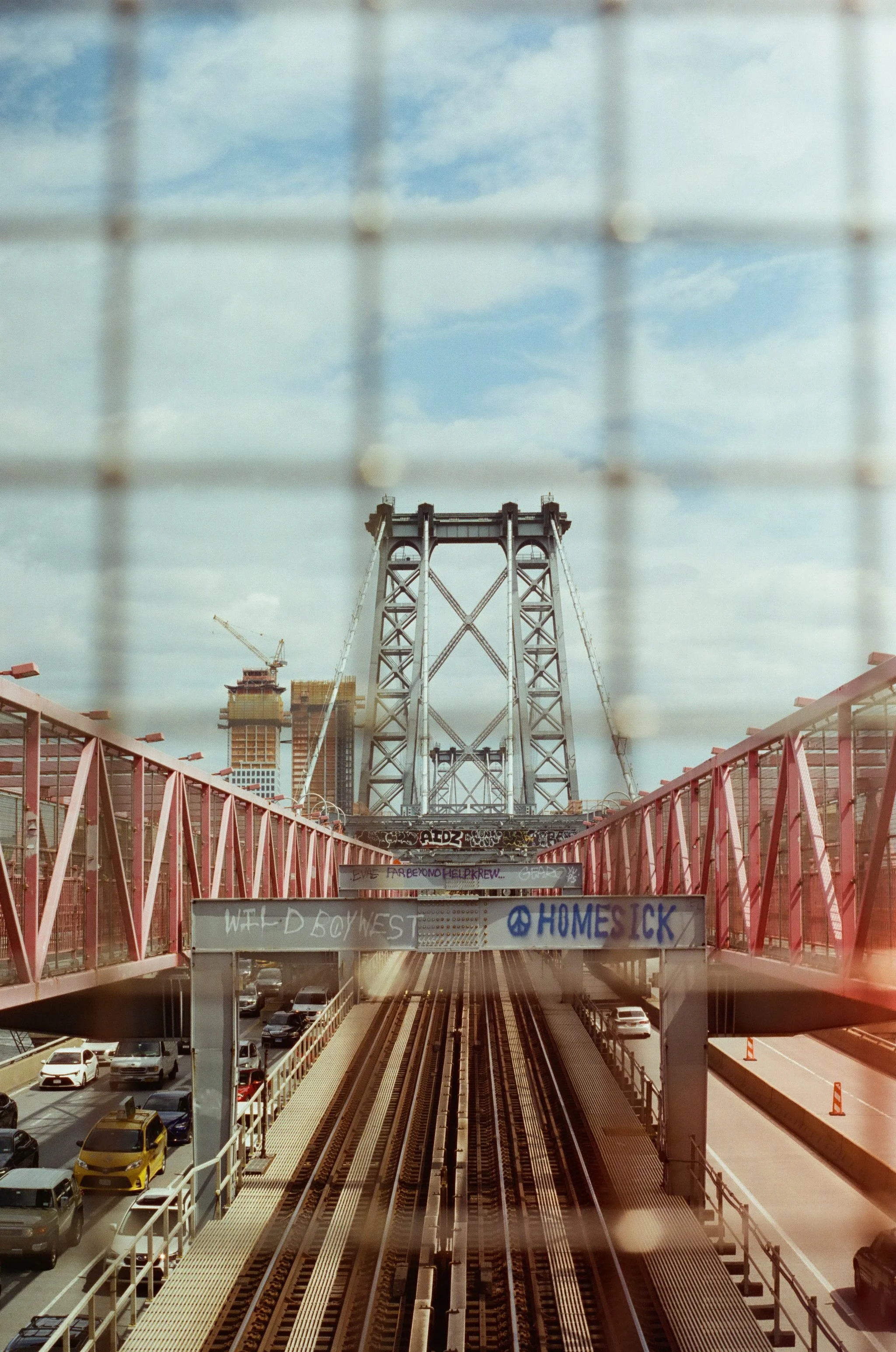 20230823-2023.08.19- CineStill 400D_Photowalk_00024.jpg