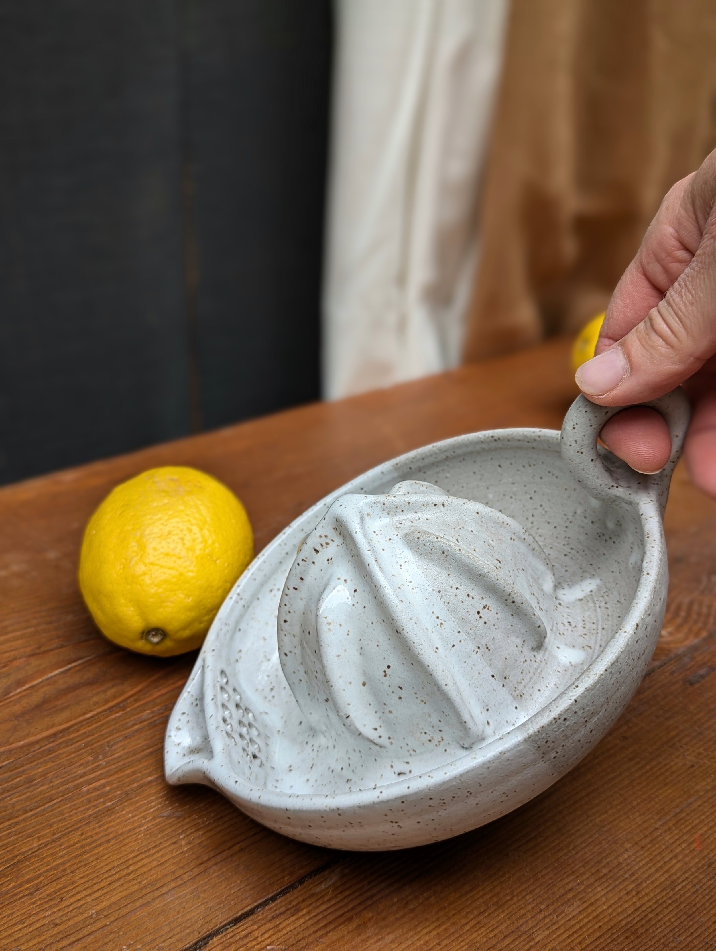 wh juicer 9.jpg