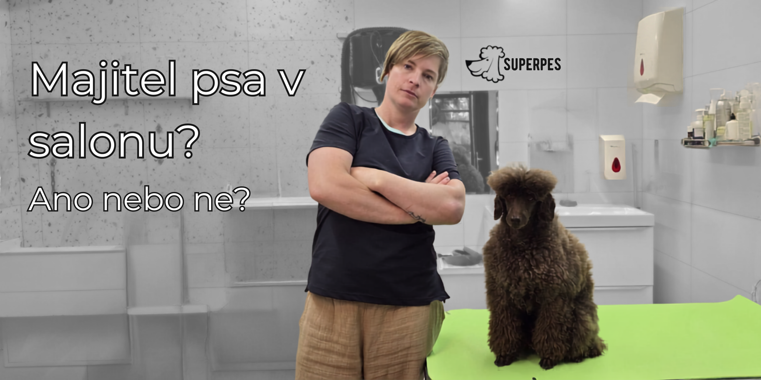 Majitel psa přítomen v salonu? Ano, nebo ne?