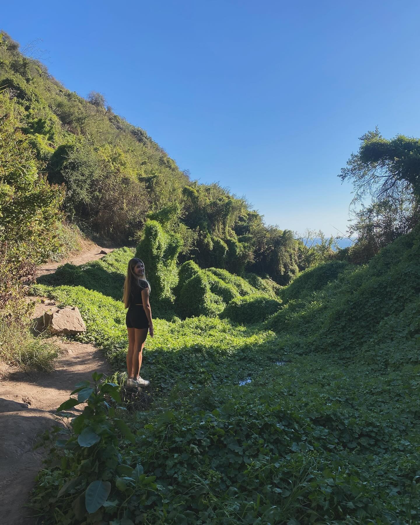 Hiking season ✨