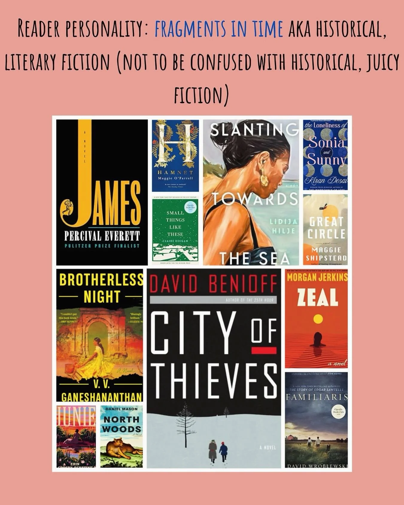 📘 Great Circle by Maggie Shipstead
✅ Perfect for: Fans of grand epics rich in historical detail, and excellent character development.
🚫 Not for: anyone who wants straightforward, action-packed adventure or resolution; the story explores subtle char