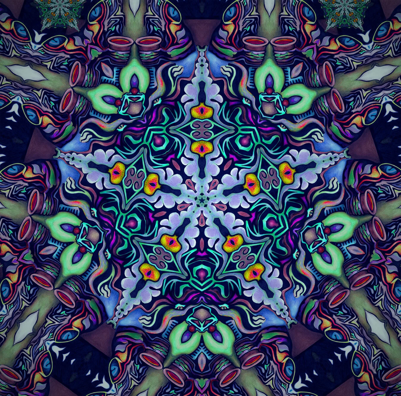 worry 5 disks zoom one.jpg