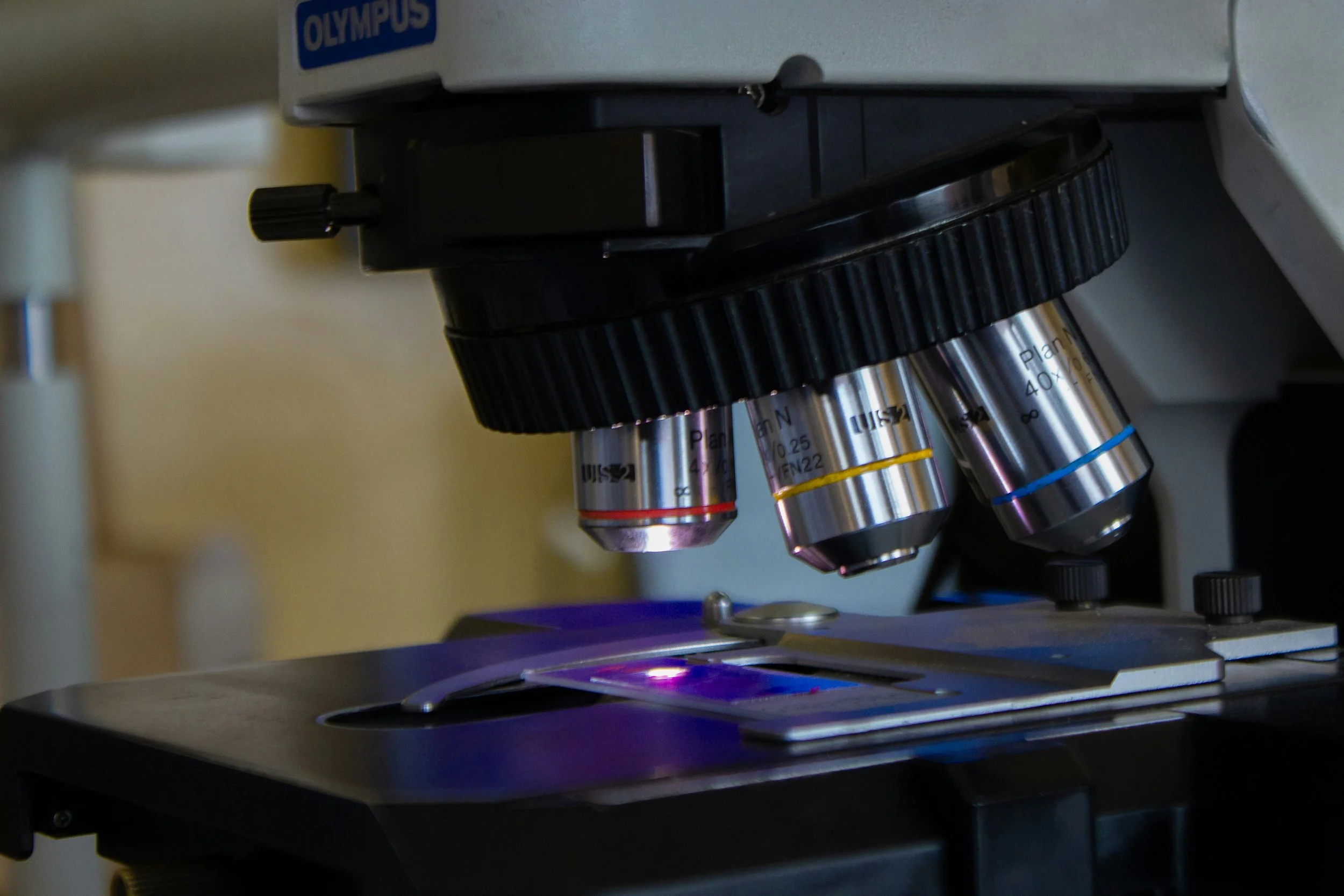 Cours IMAT de biologie