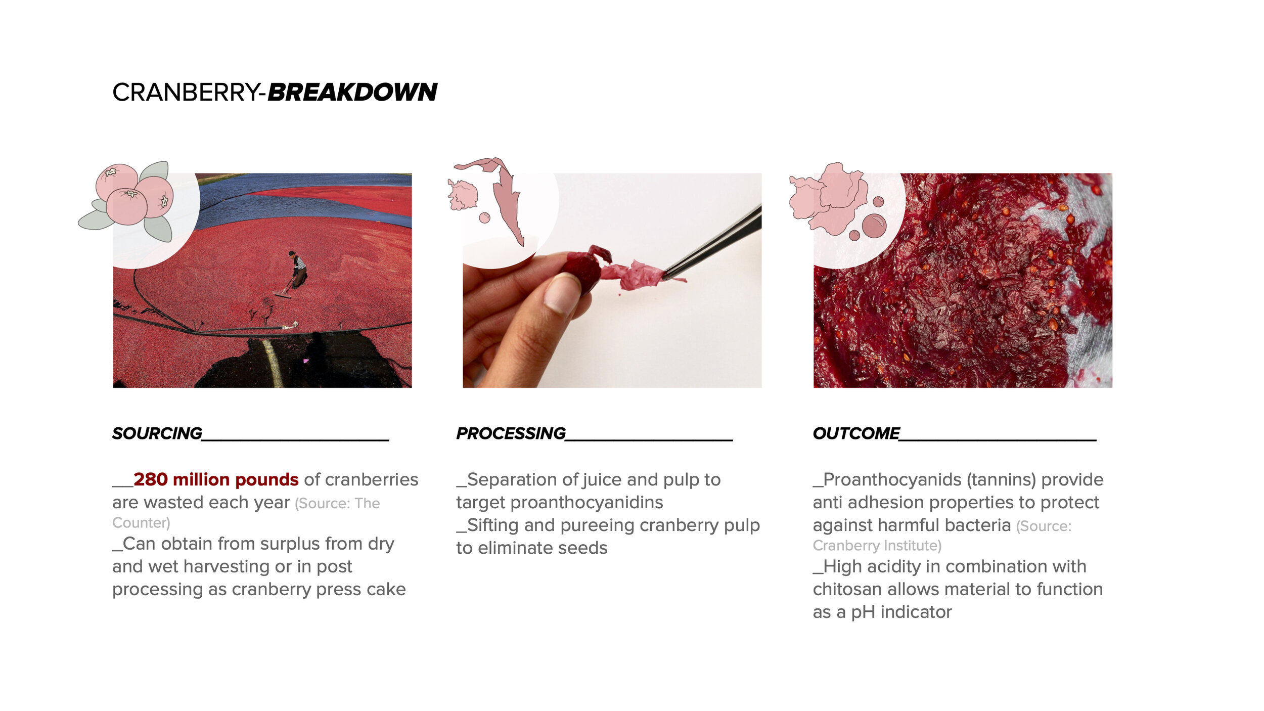 The BLOT Project no sound (1)_Part14.jpg