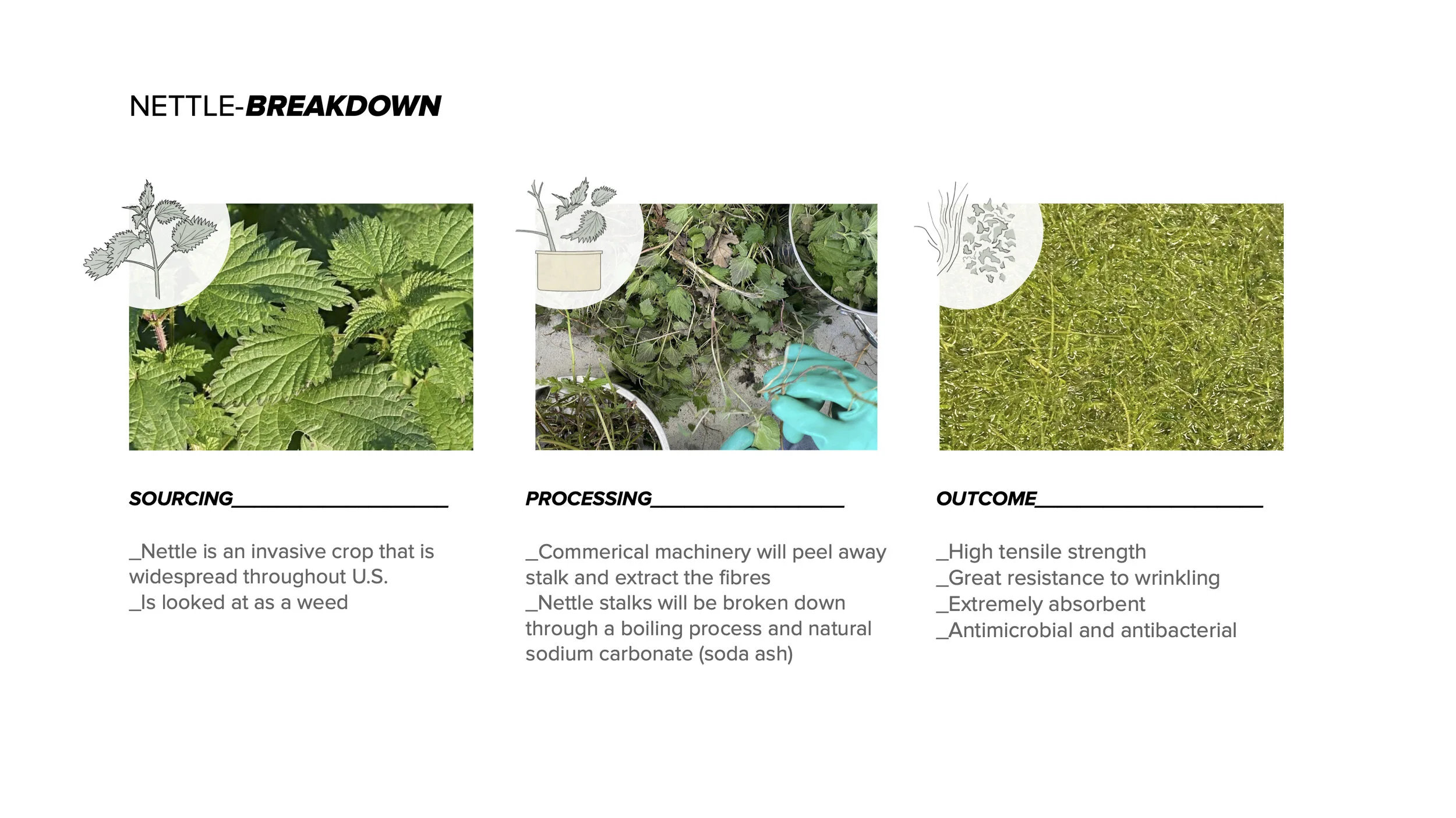 The BLOT Project no sound (1)_Part15.jpg