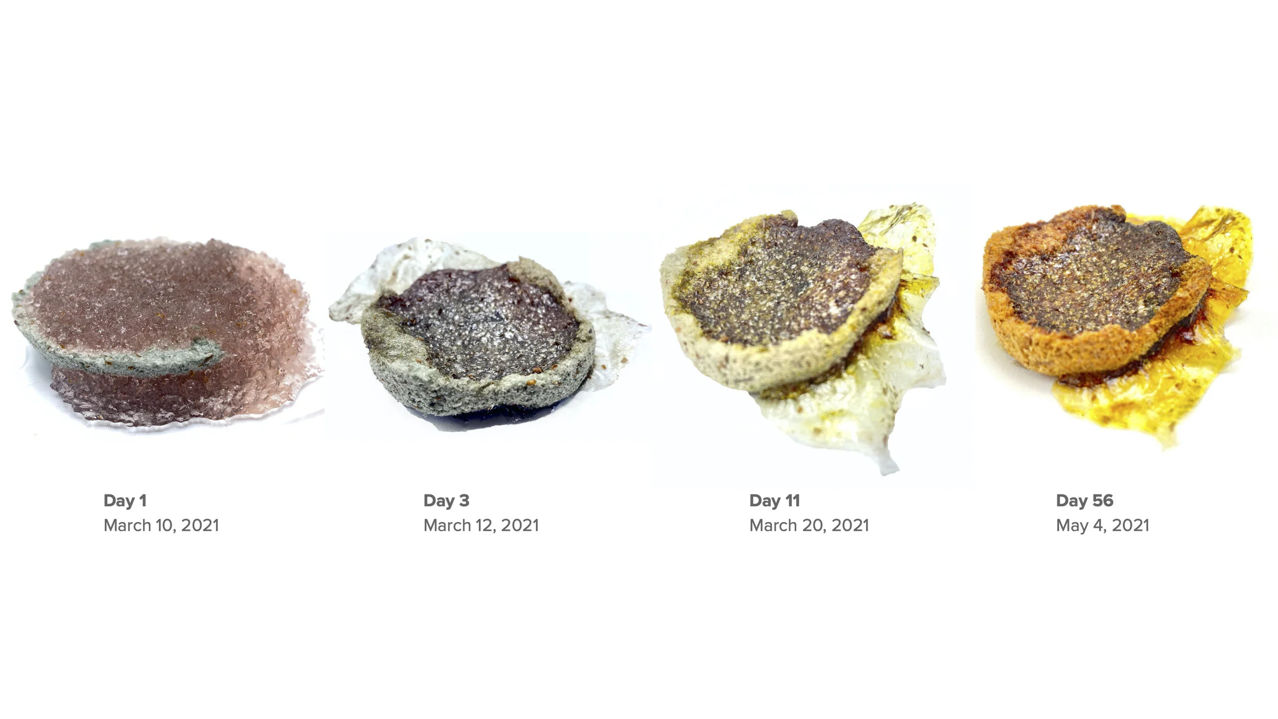 The BLOT Project no sound (1)_Part33.jpg