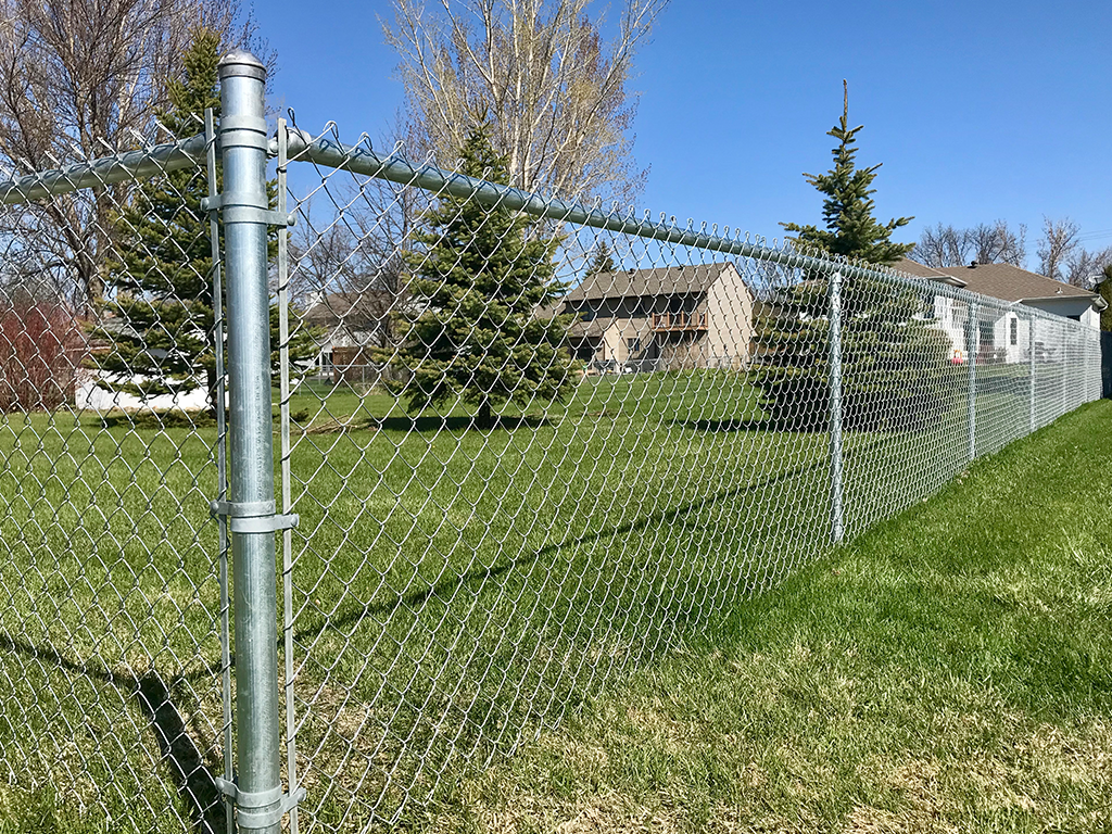 A long metal chain-link fence runs along a grassy yard, with trees and houses visible in the background under a clear blue sky.