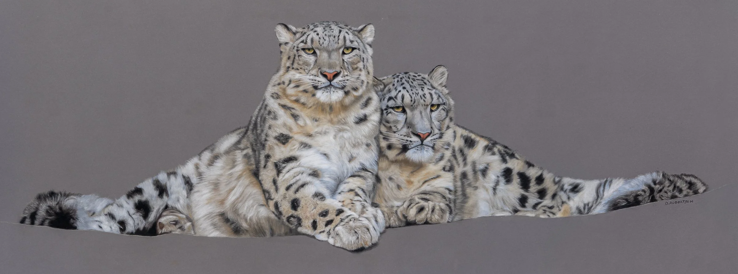 Attitude 940x380mm Image courtesy of Tambako Available