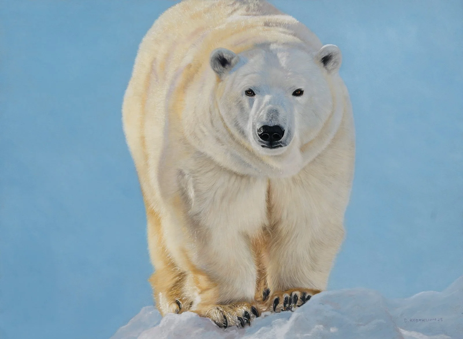 Polar bear watching 600x430mm Image shutterstock Available