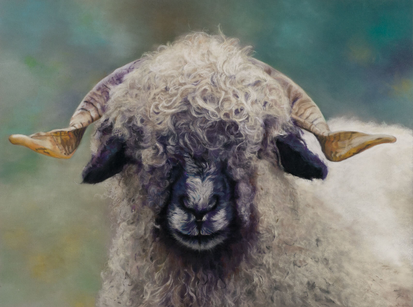 Wooly sheep 400x300mm Photo courtesy Mia Moreau