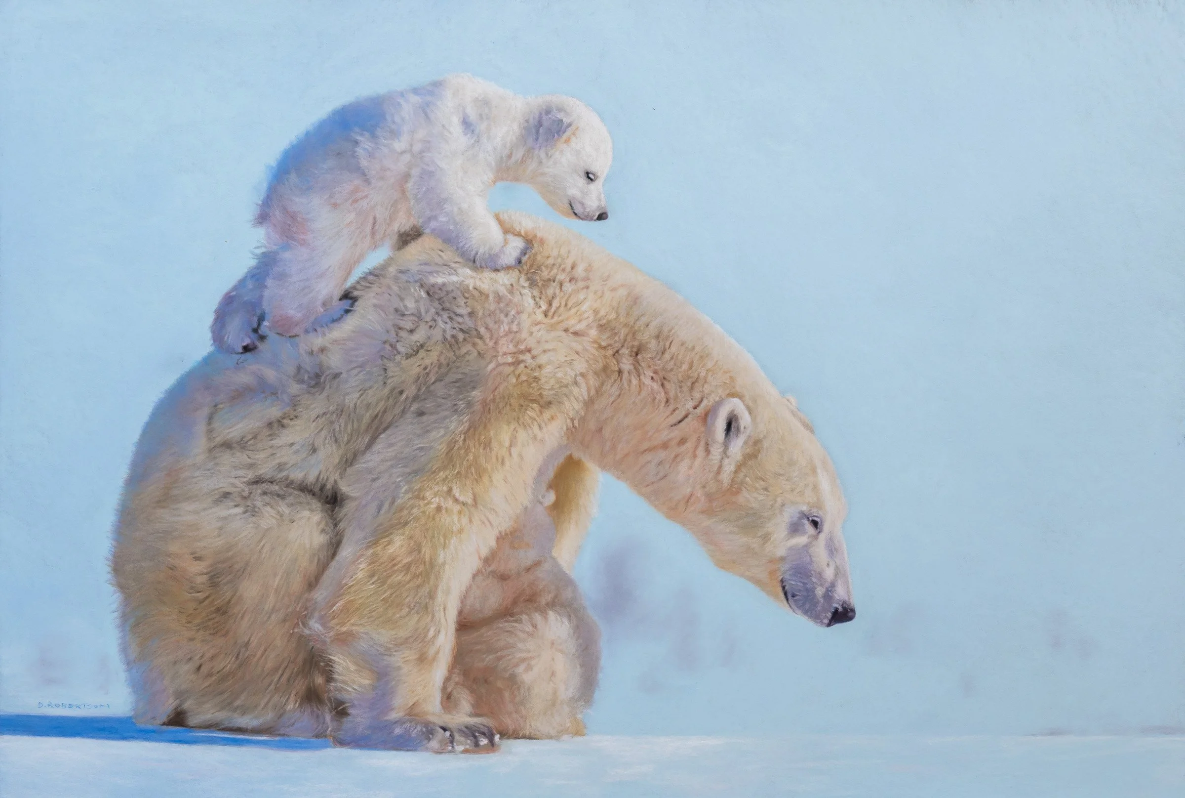 Mother bear 440x650mm photo courtesy Nedko Nedkov Available