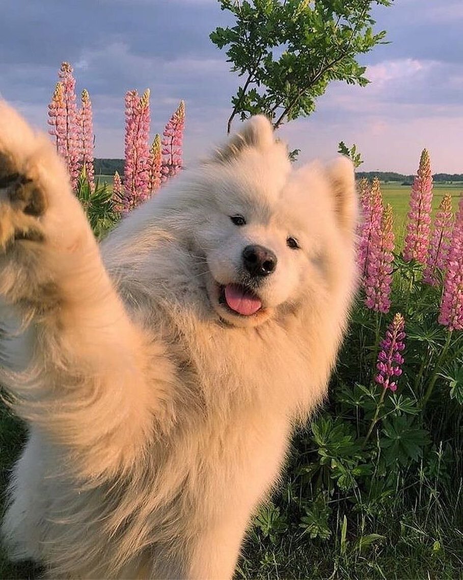 High five for the weekend! 🌸