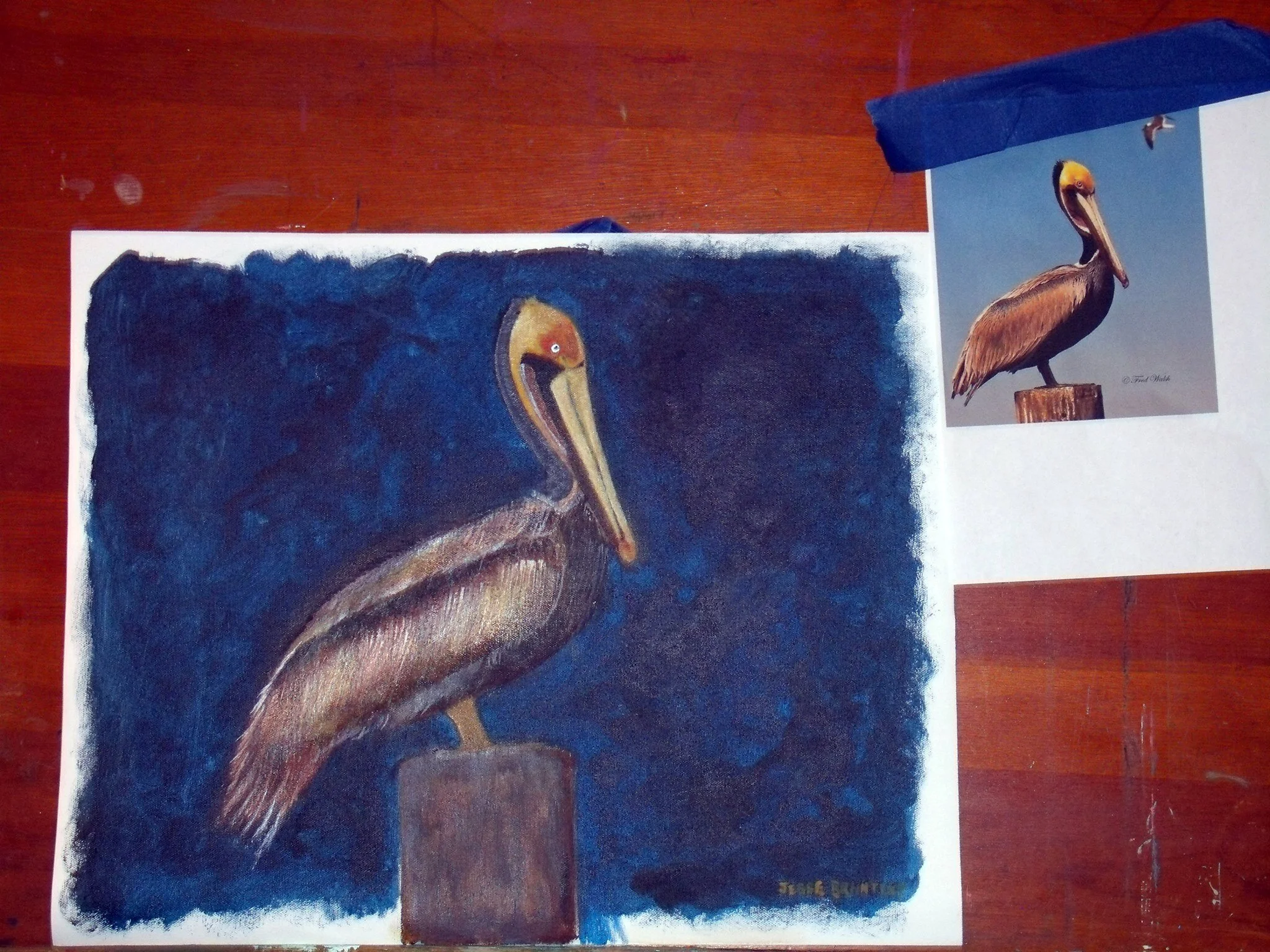 12185026_890299614372985_4441973368452149193_o - Copy.jpg