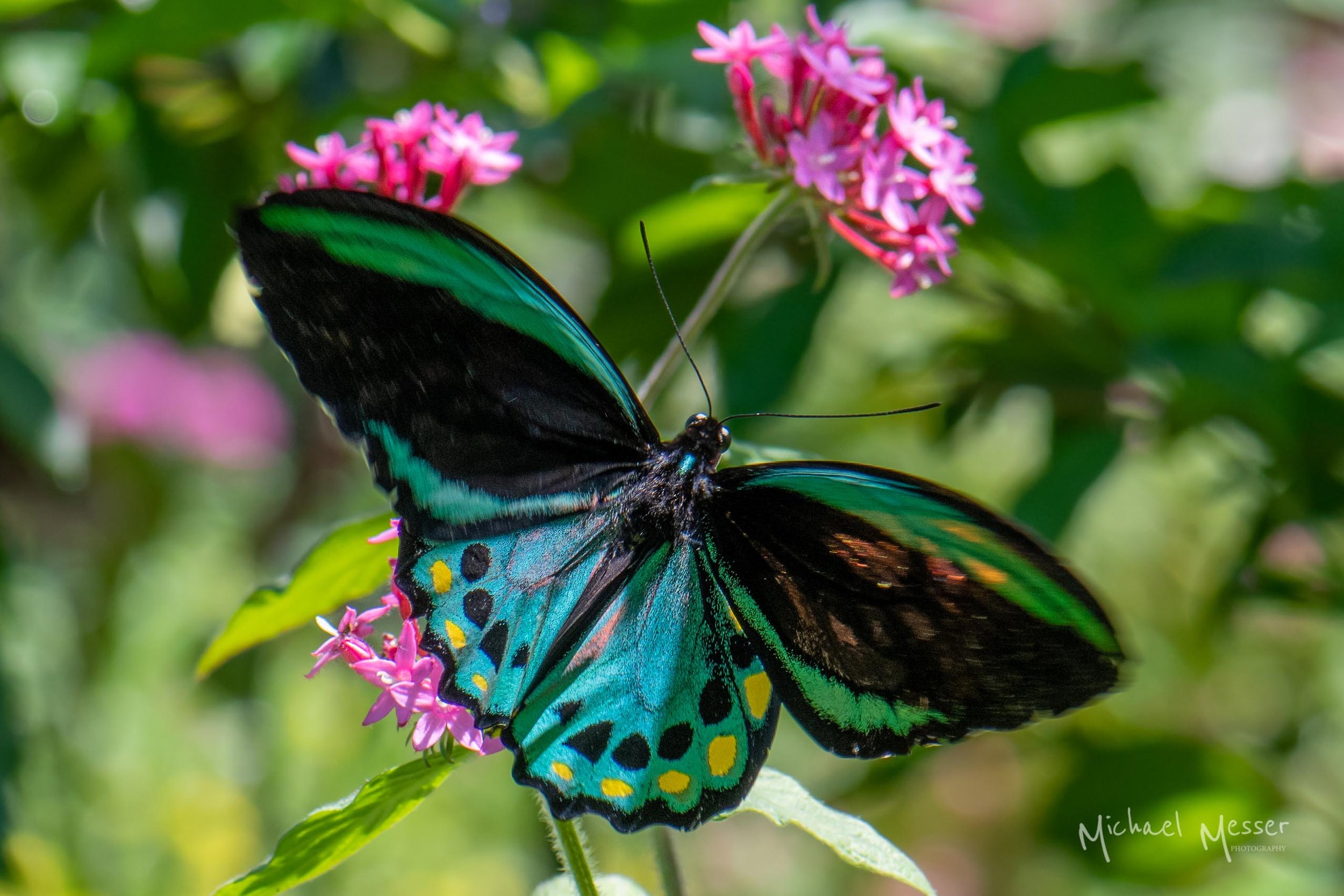 DSC_6428.jpg