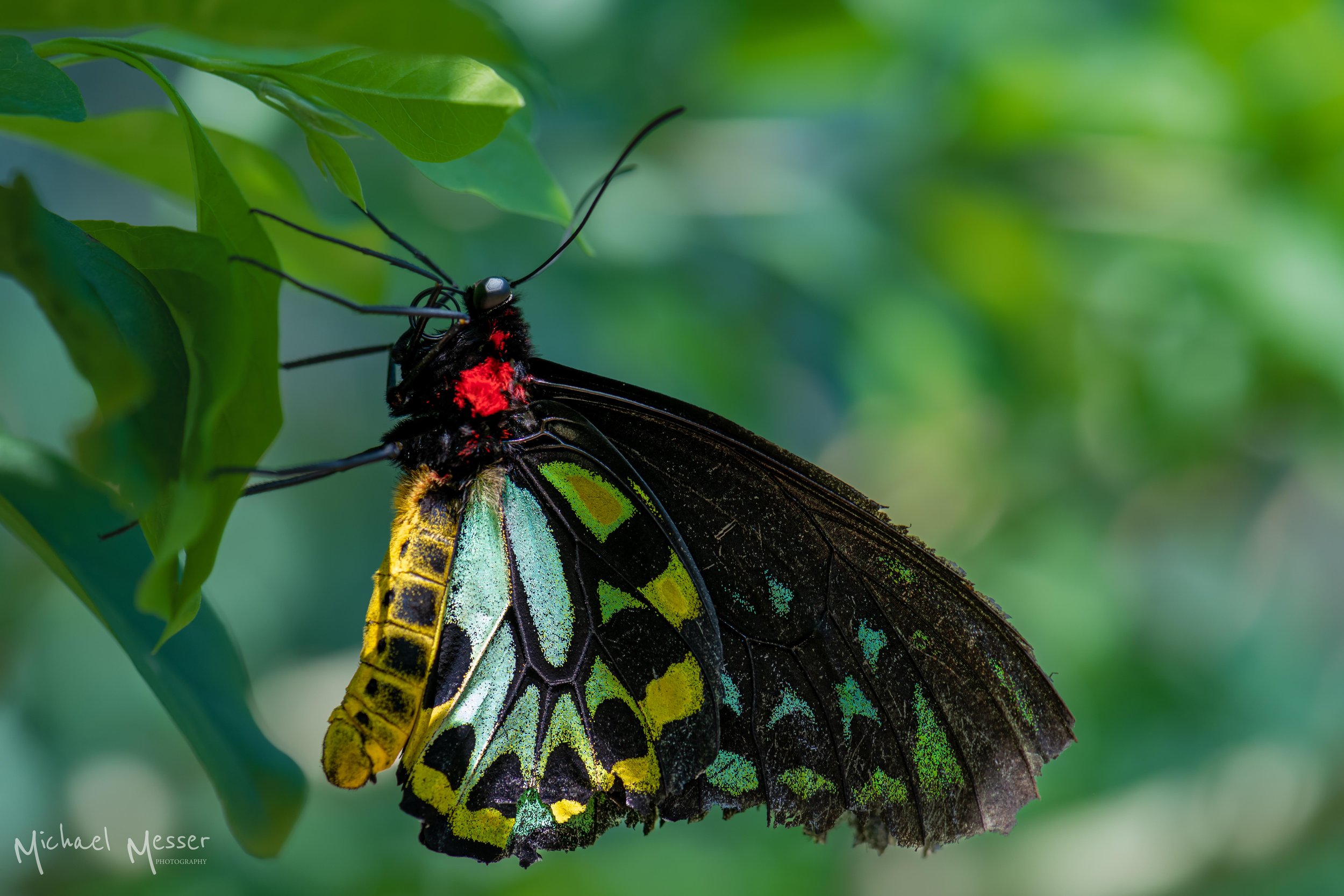 DSC_6479.jpg
