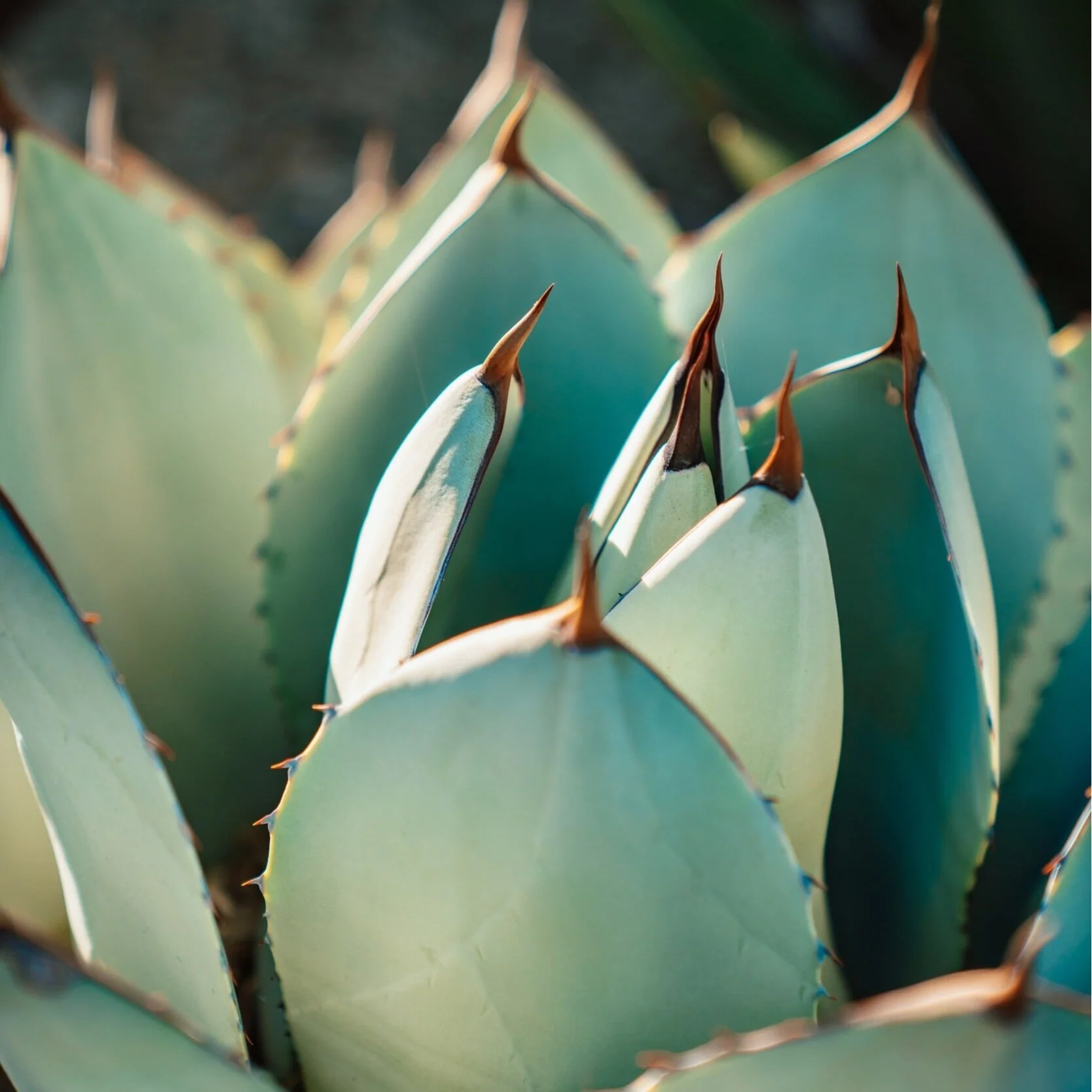 depression therapist near me, depression therapist marin, el dorado hills depression therapist, in person therapy for depression near me, sf depression therapist