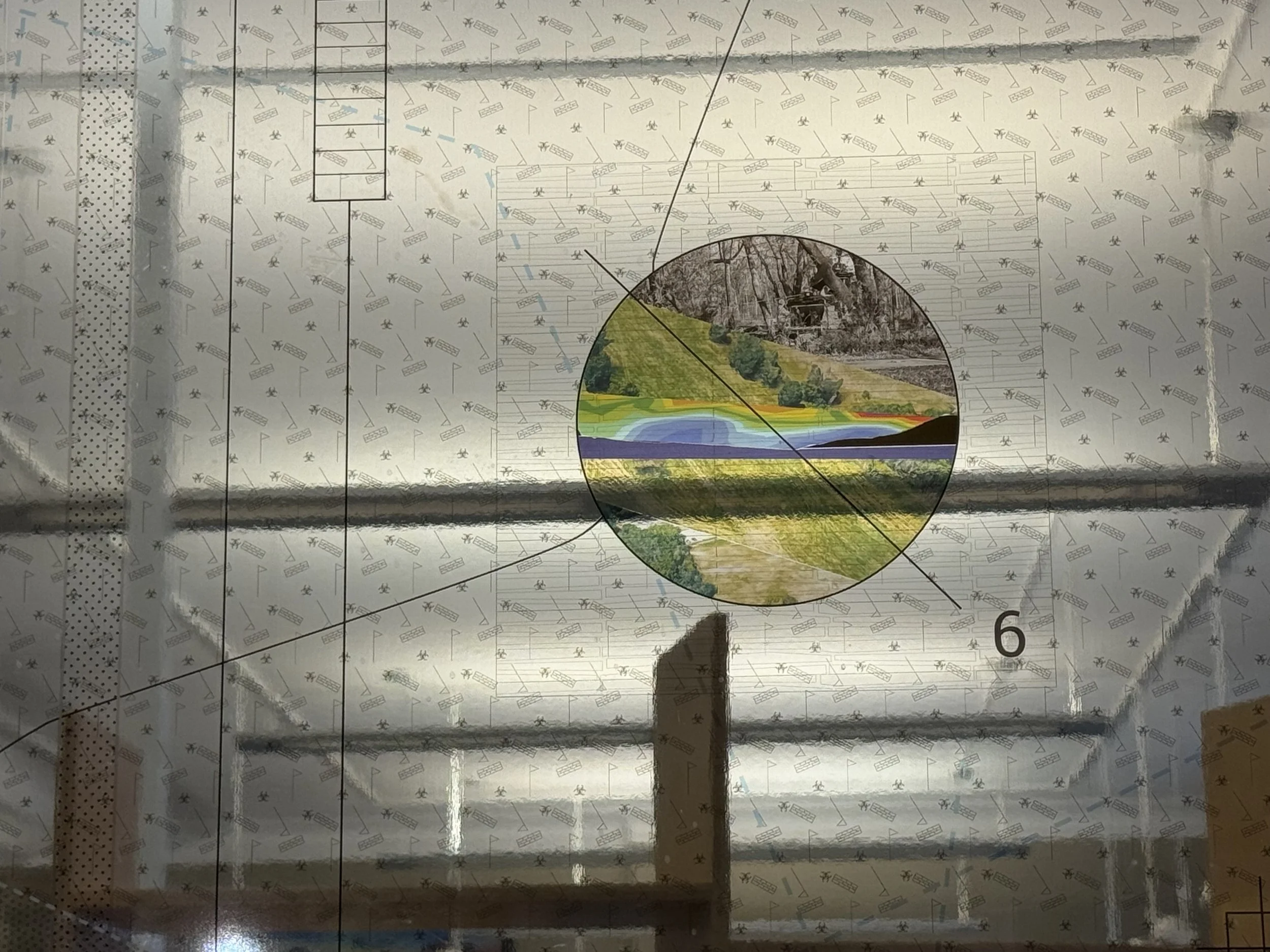 Curation, Art, and Environment