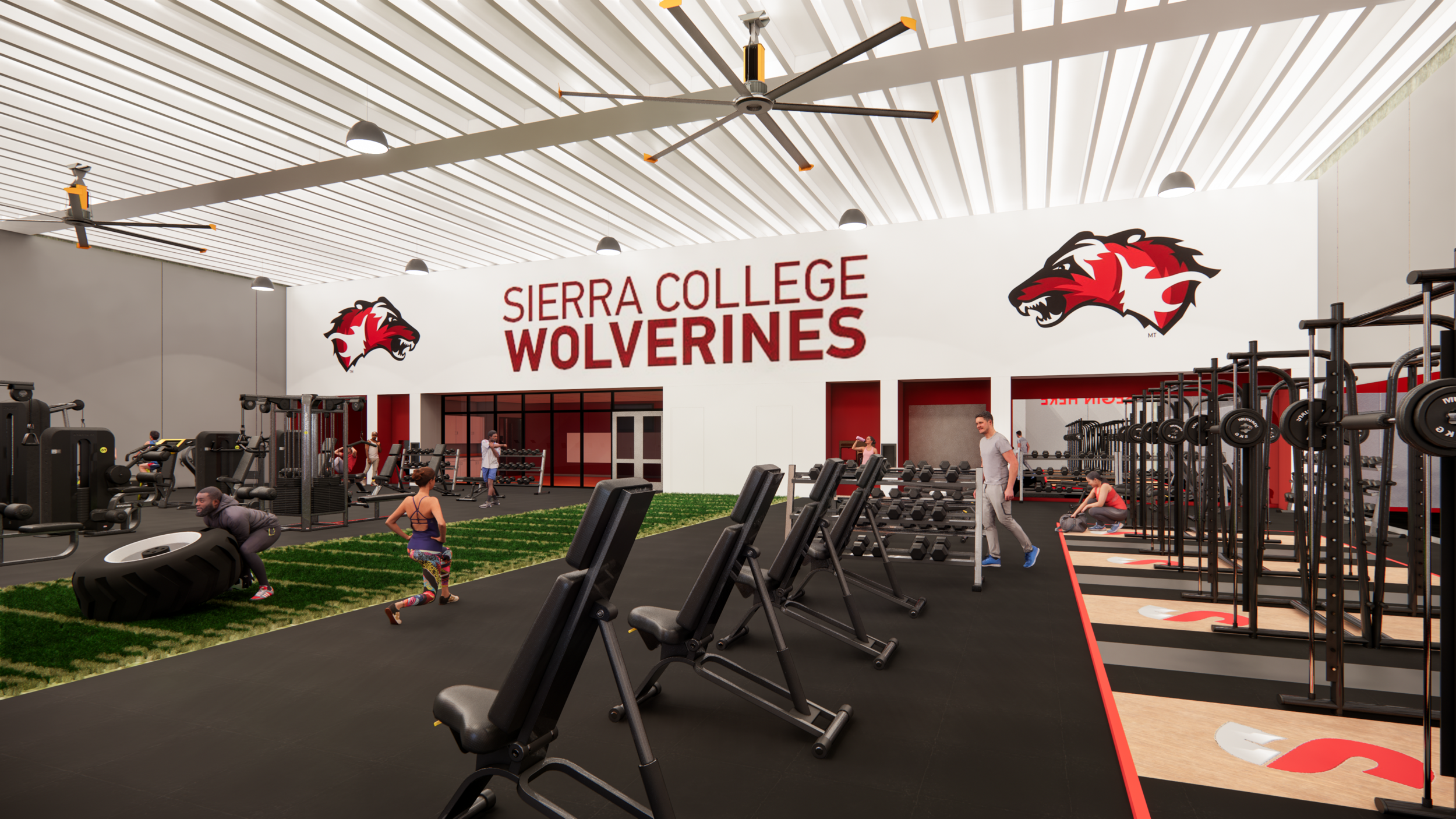 Weight and Cardio Lab