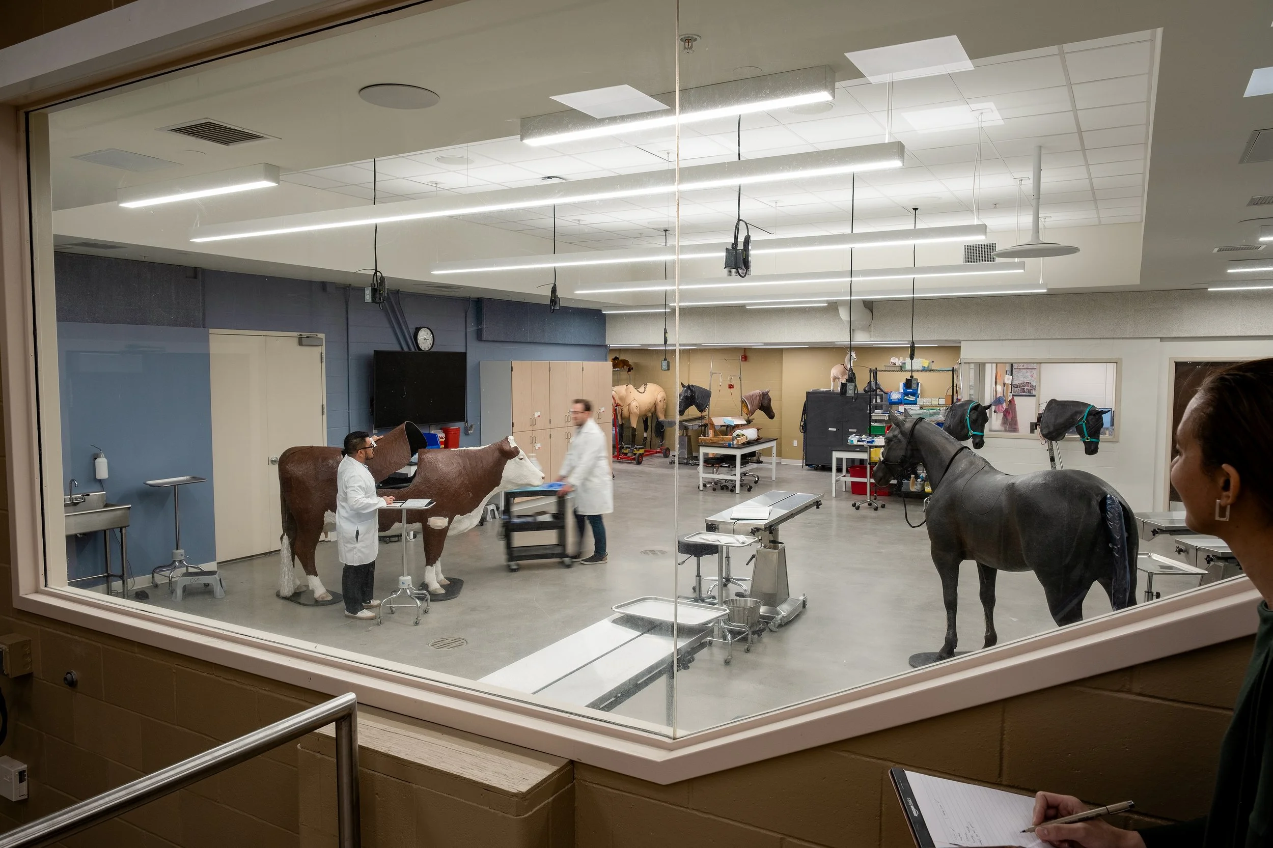 WSU EAB - Bustad Viewing Room - 01.jpg