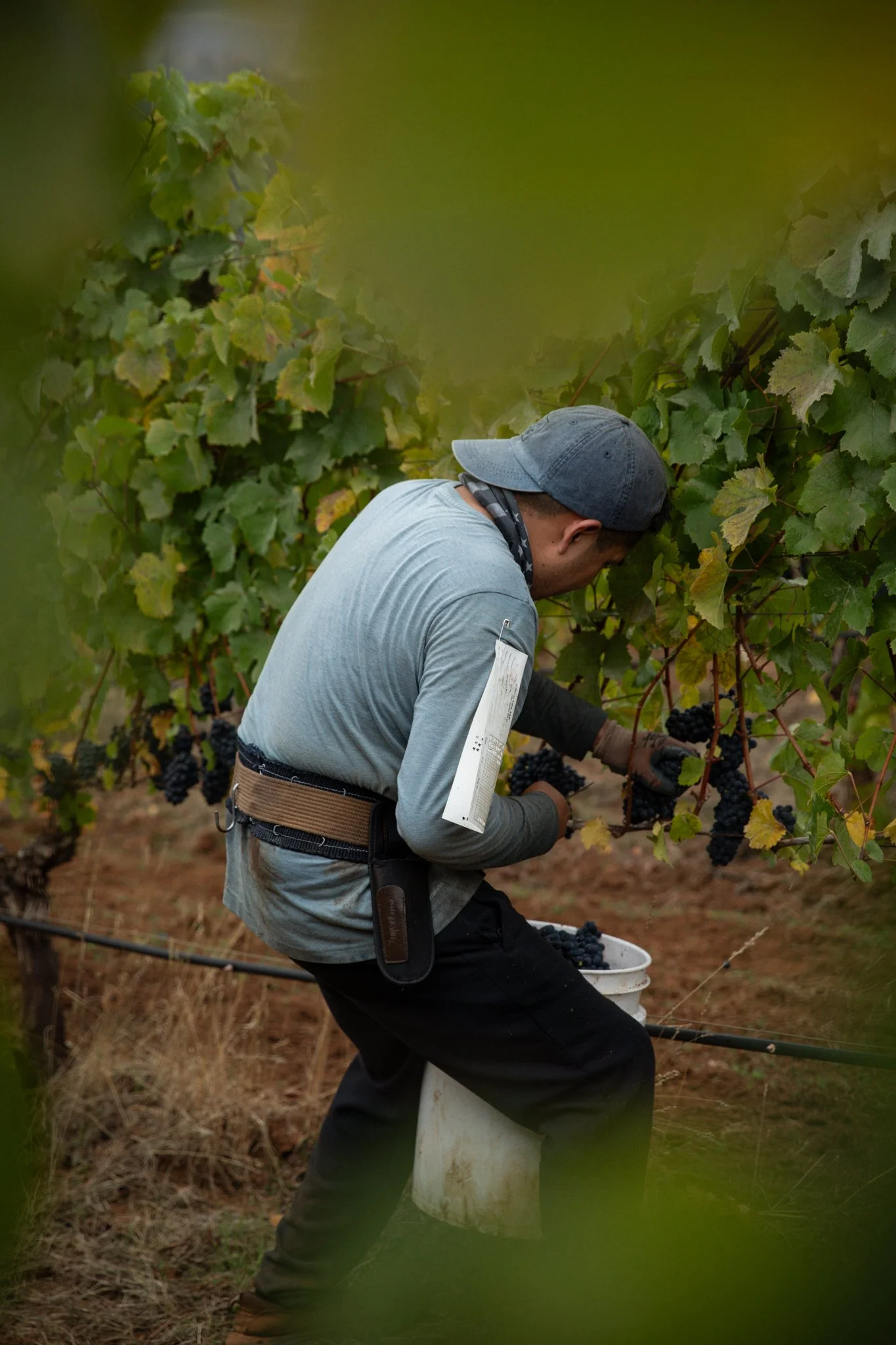 LW Harvest-24.jpg