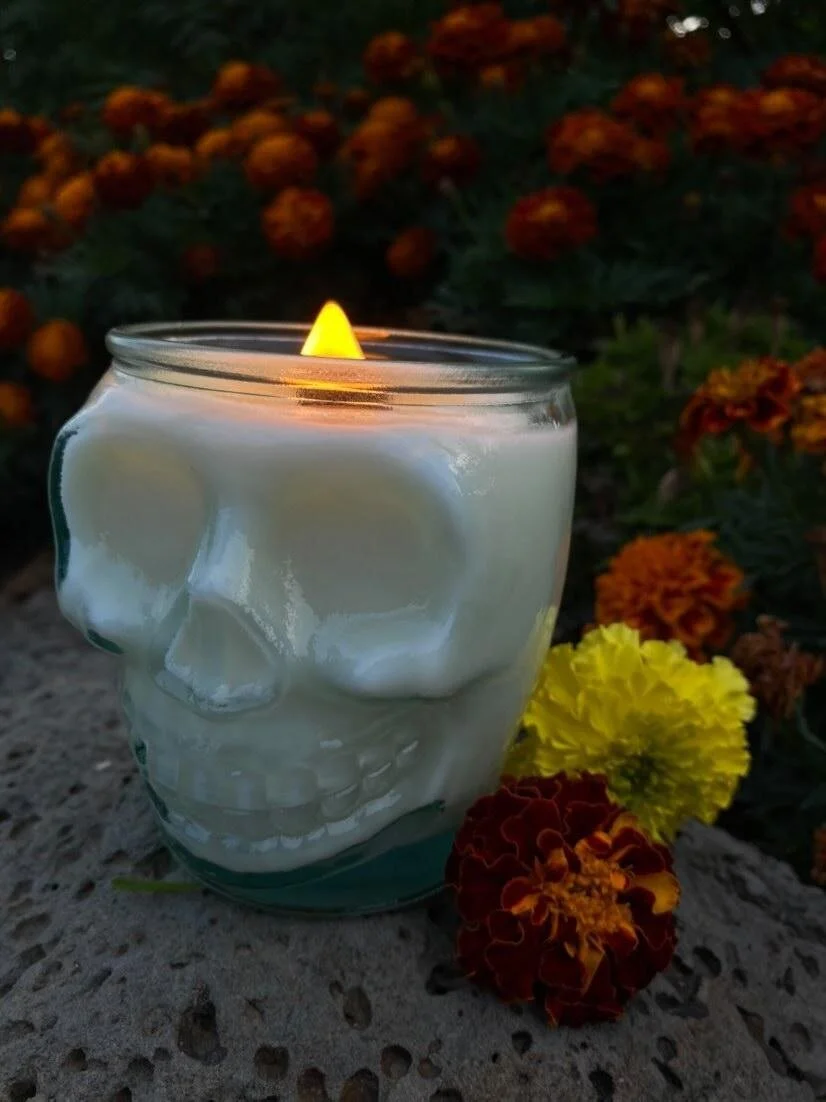 General 1 — WILD WICKZOLOGY